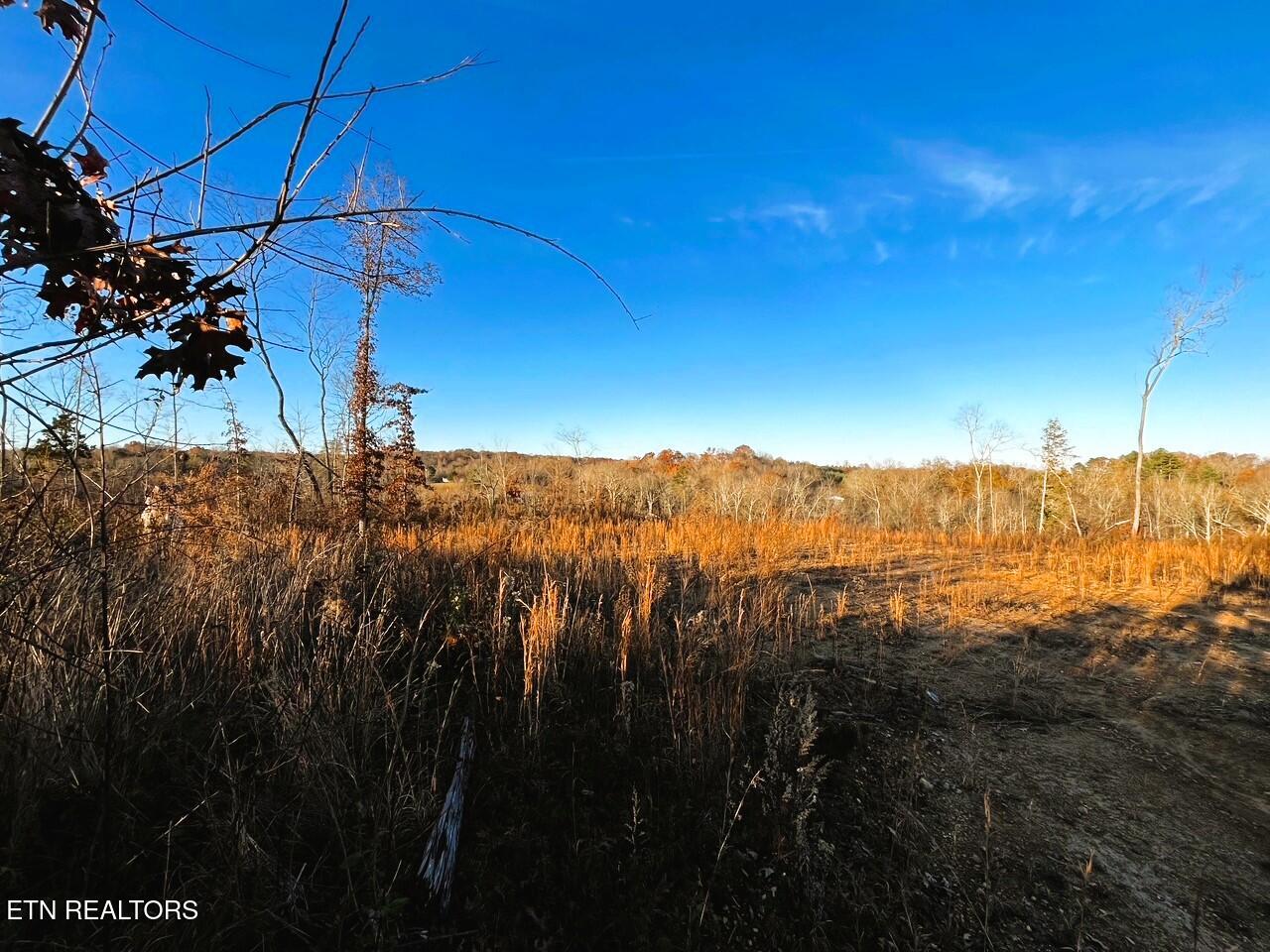 16.75 Ac Euchee Road Property Photo 12
