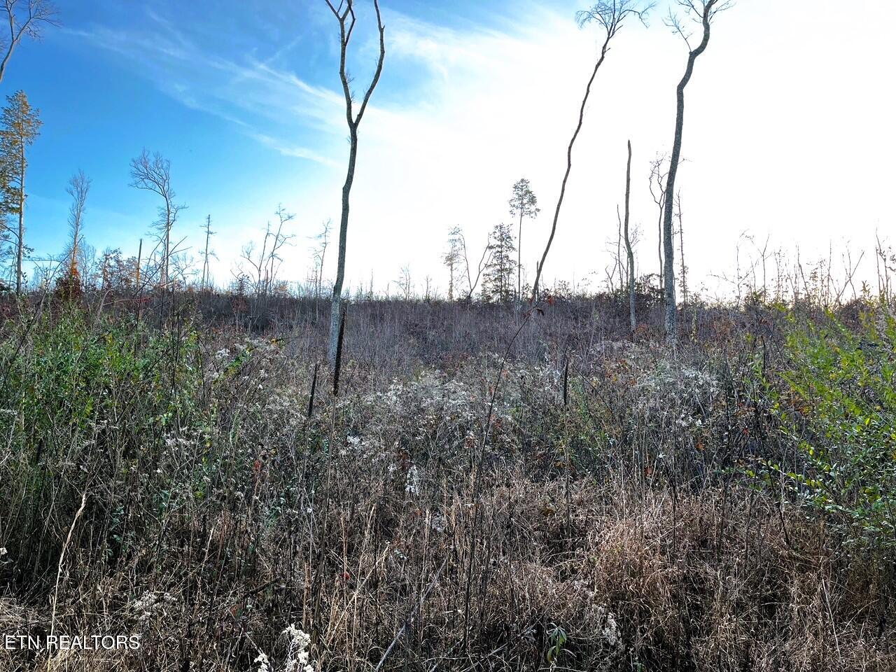 16.75 Ac Euchee Road Property Photo 13