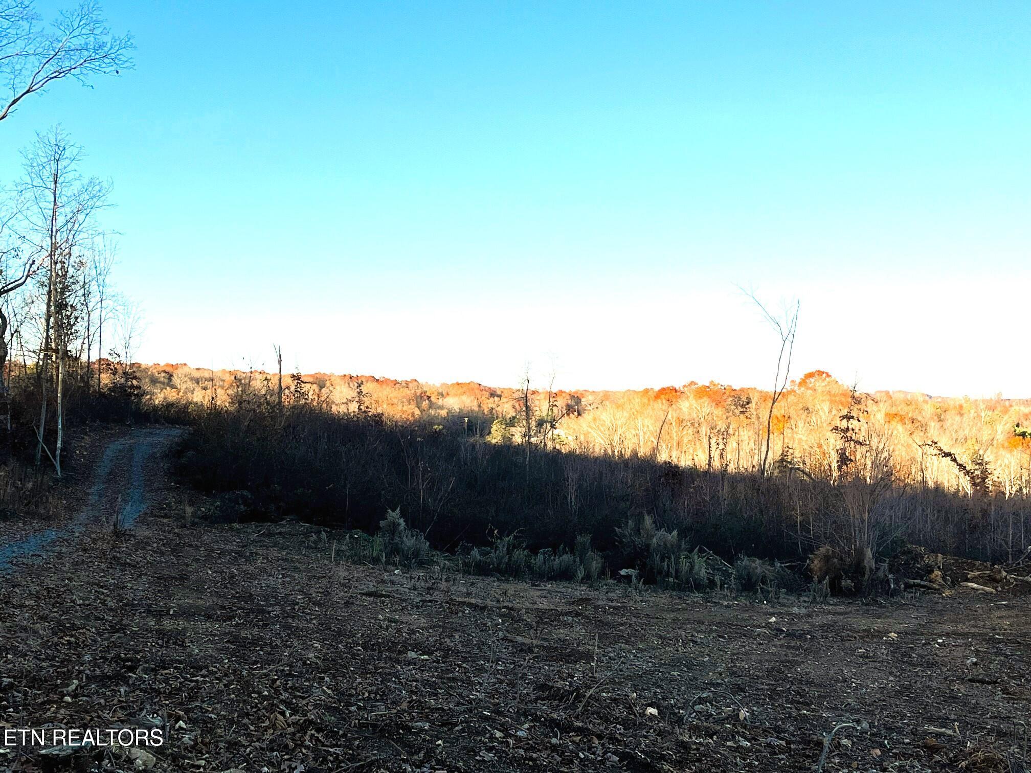 16.75 Ac Euchee Road Property Photo 15