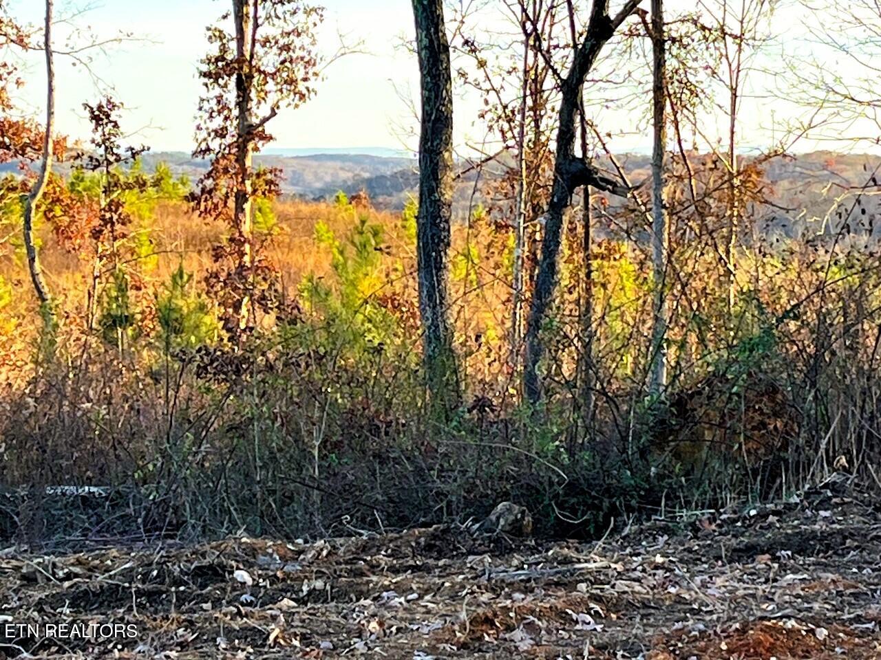 16.75 Ac Euchee Road Property Photo 16