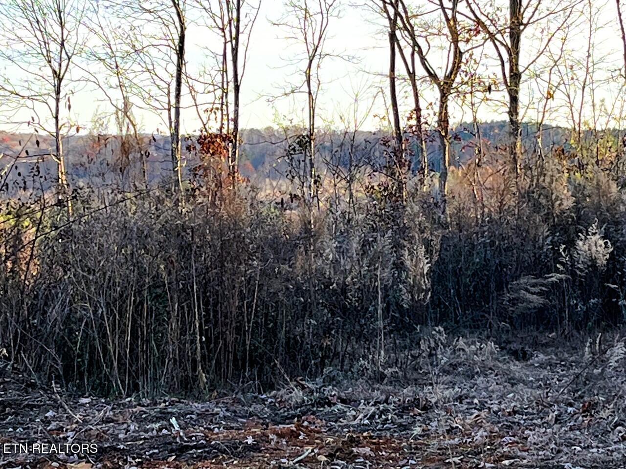 16.75 Ac Euchee Road Property Photo 17