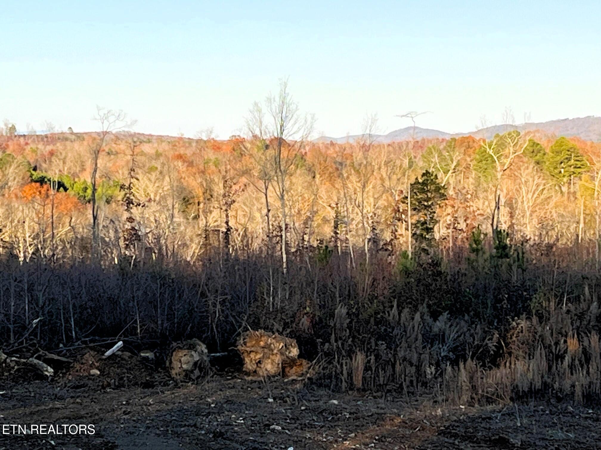 16.75 Ac Euchee Road Property Photo 19