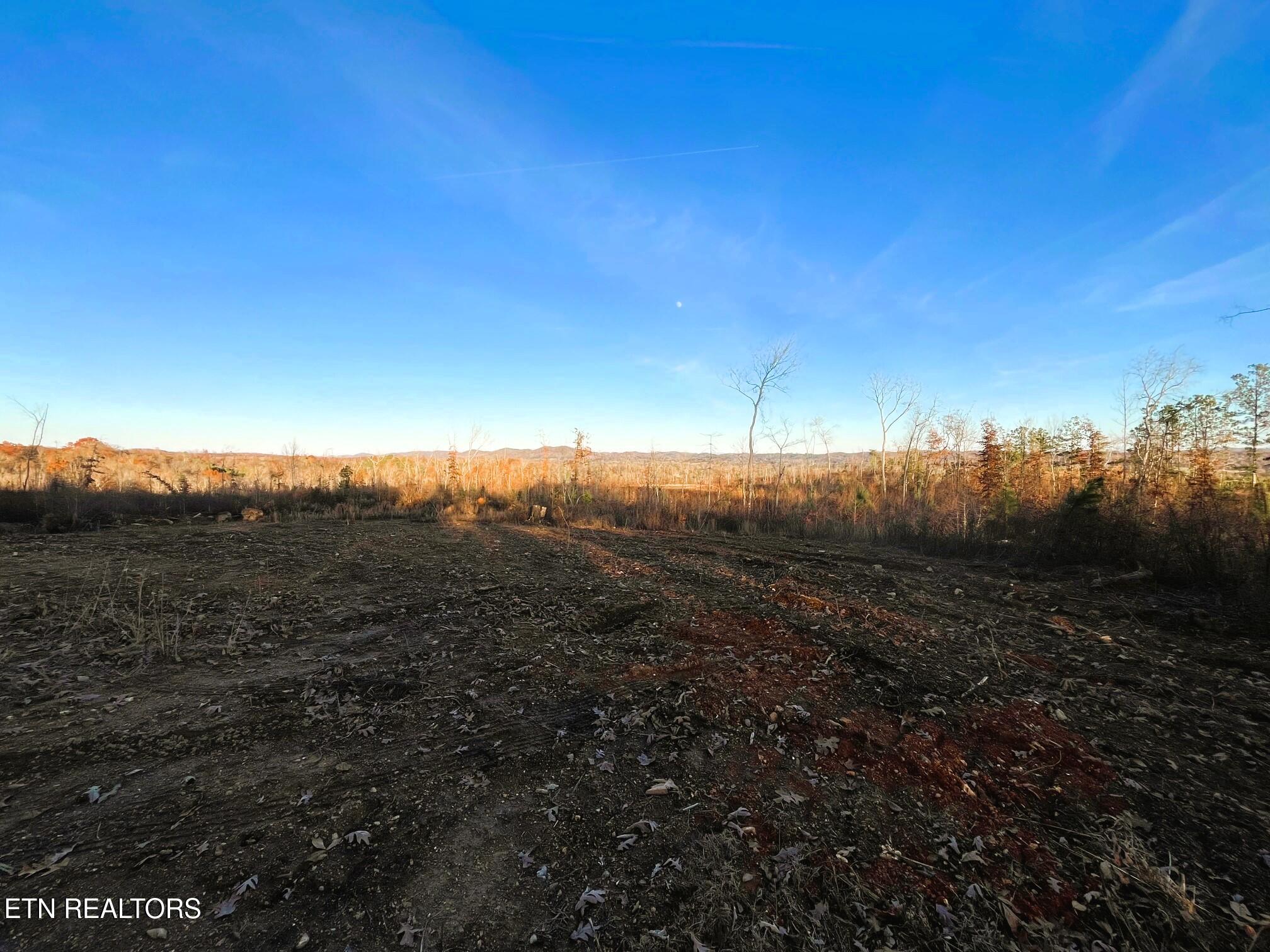 16.75 Ac Euchee Road Property Photo 20