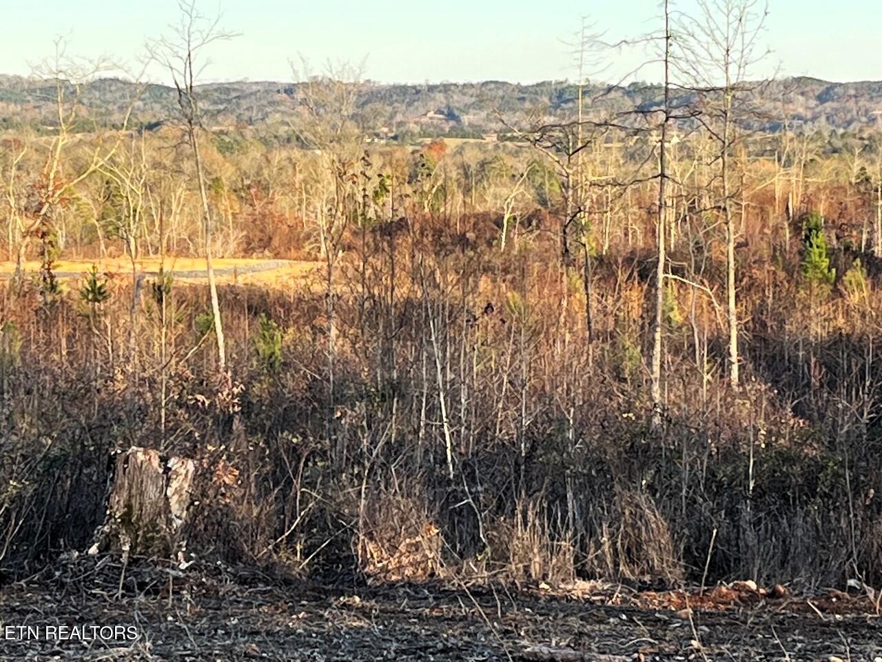16.75 Ac Euchee Road Property Photo 23