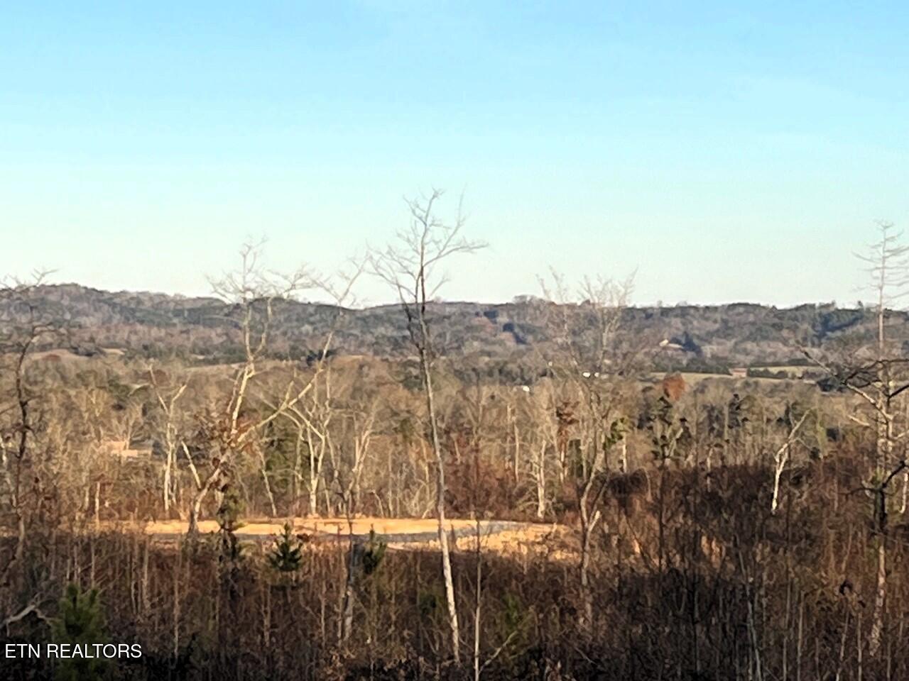 16.75 Ac Euchee Road Property Photo 24