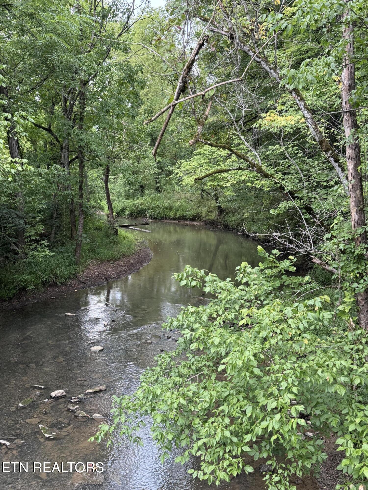 2 Rutledge Lot 2 Pike Property Photo 2