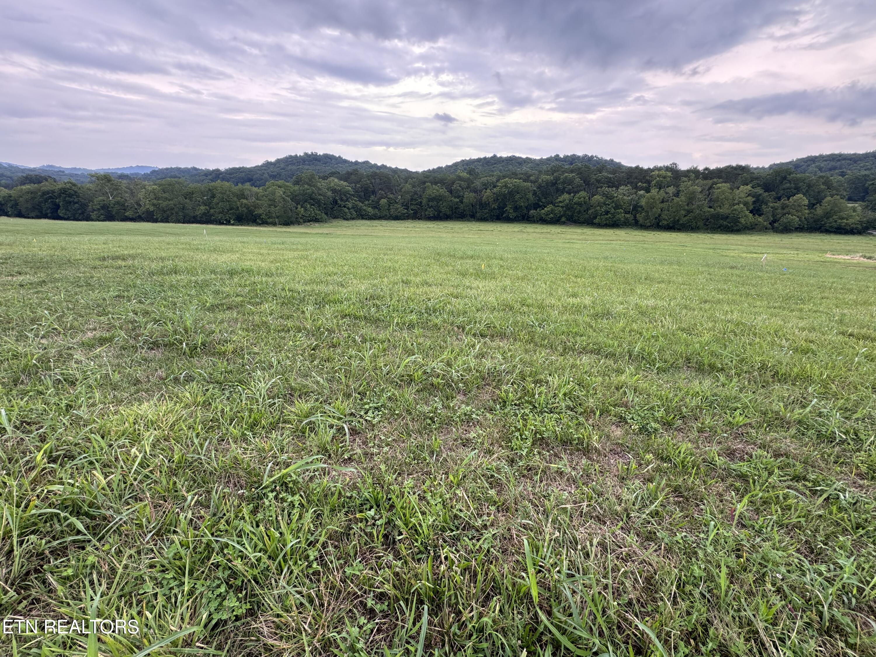 3 Rutledge Lot 3 Pike Property Photo 4