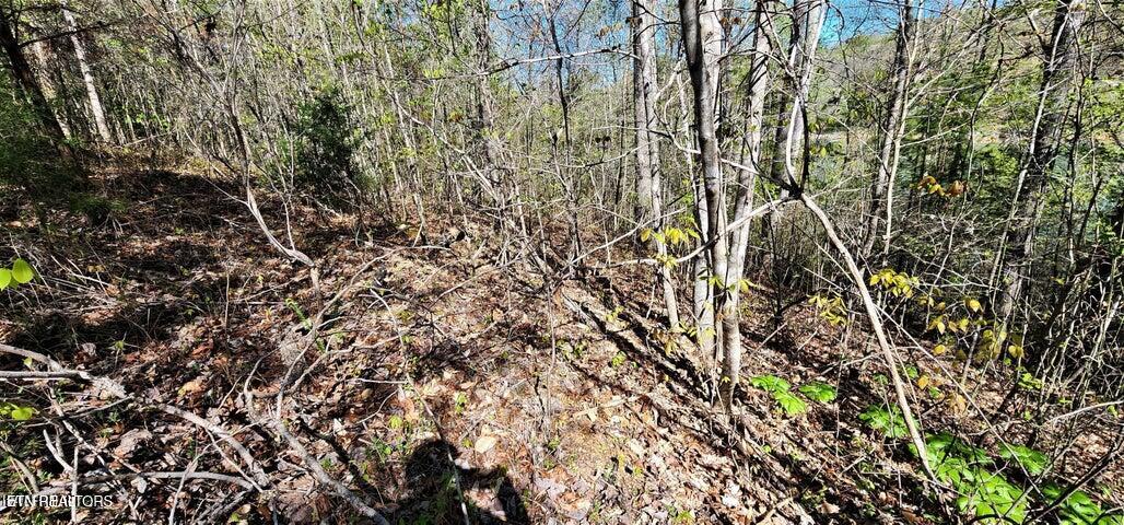 175 Lot Waterside Lane Property Photo 18