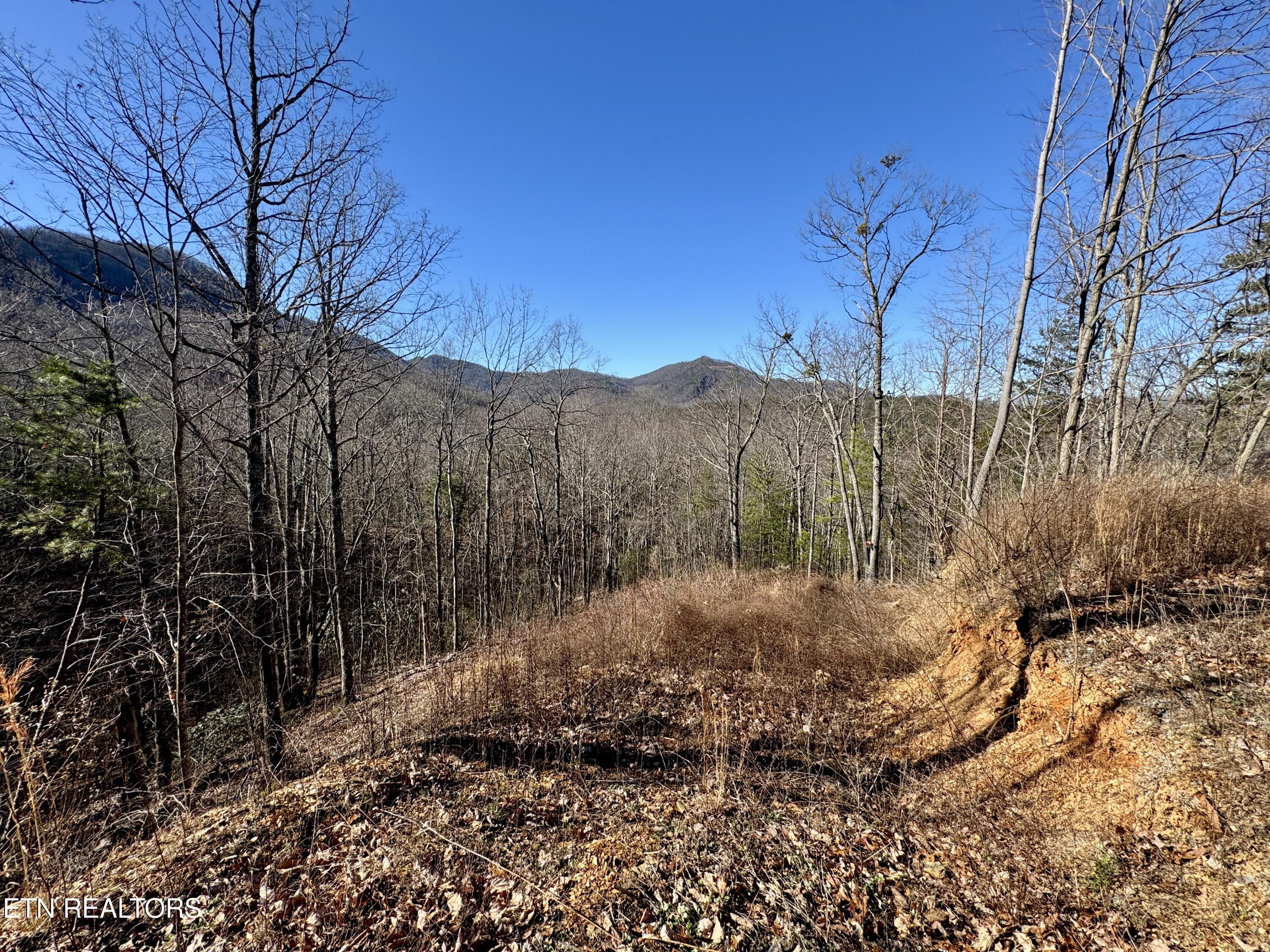 Tr 5 Caney Creek (land Only) Rd Property Photo 2