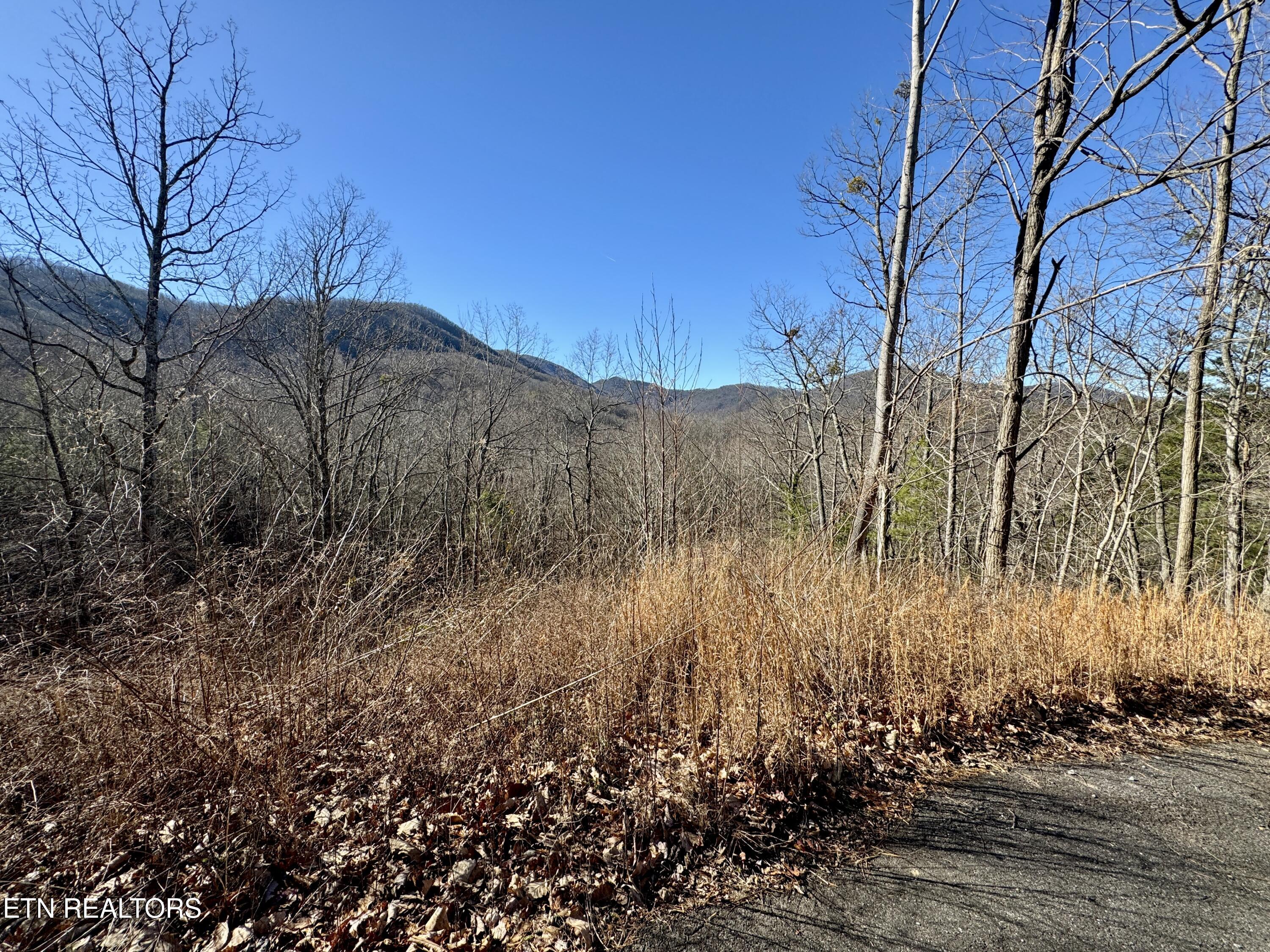 Tr 5 Caney Creek (land Only) Rd Property Photo 3