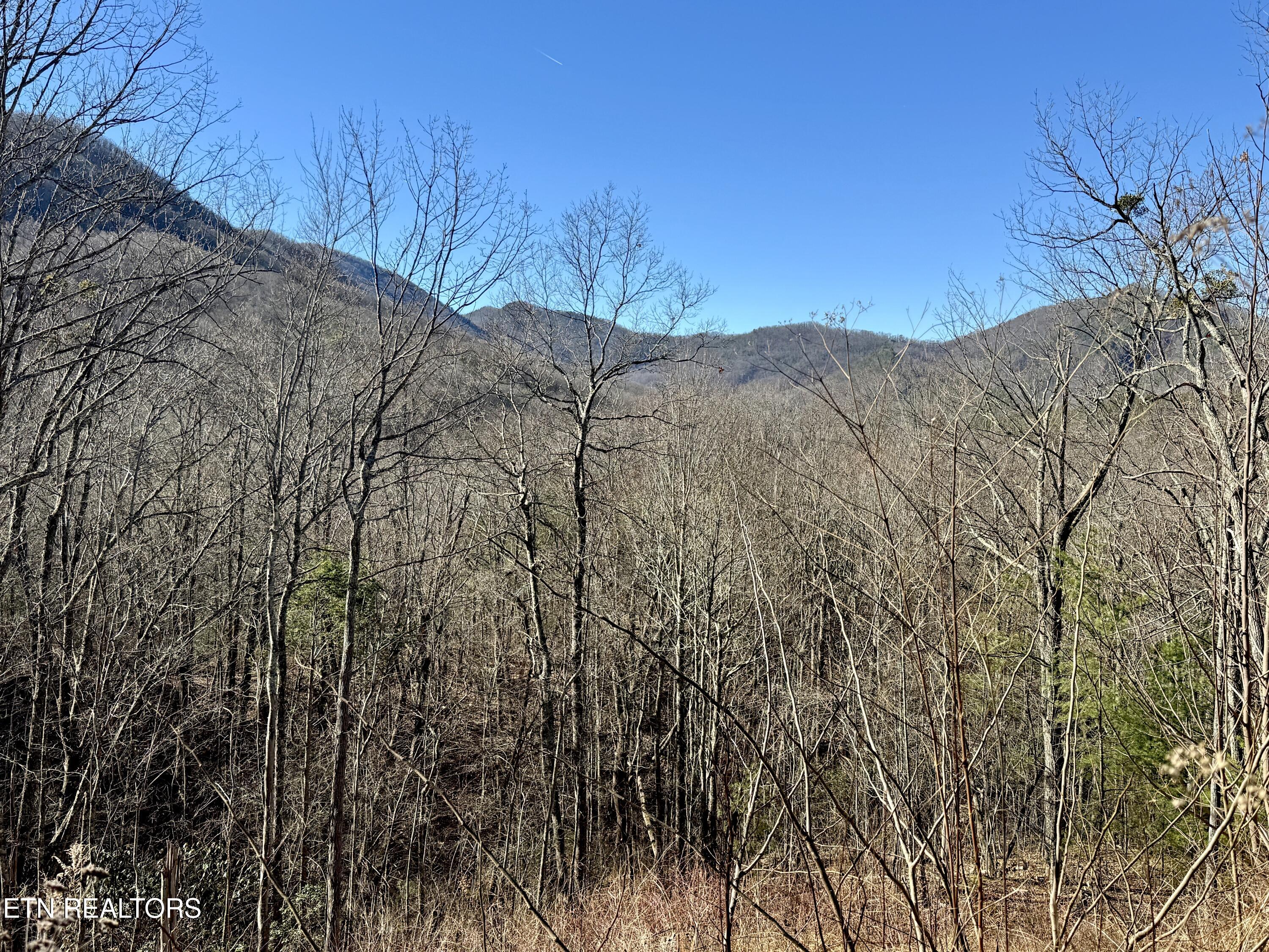 Tr 5 Caney Creek (land Only) Rd Property Photo 3