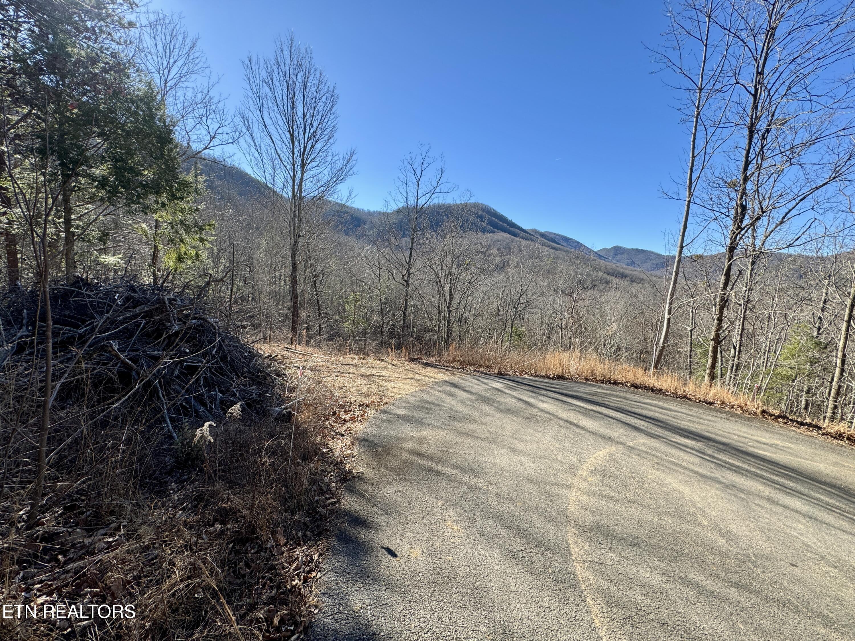 Tr 5 Caney Creek (land Only) Rd Property Photo 4