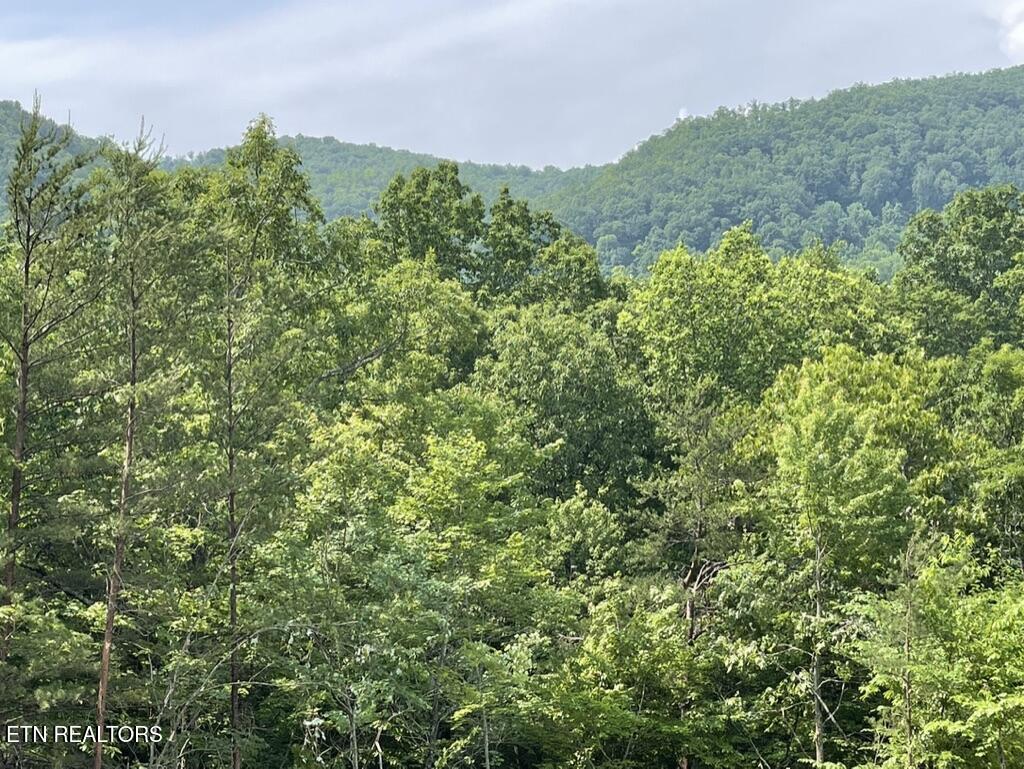 Tr 5 Caney Creek (land Only) Rd Property Photo 5