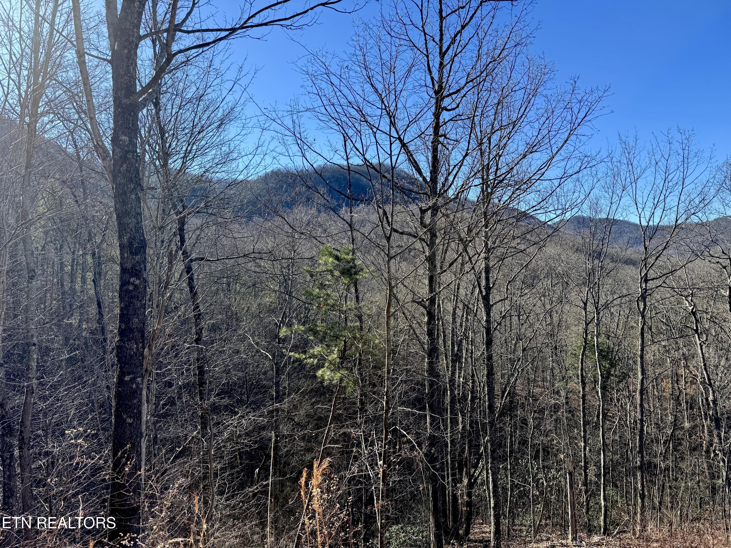 Tr 5 Caney Creek (land Only) Rd Property Photo 7