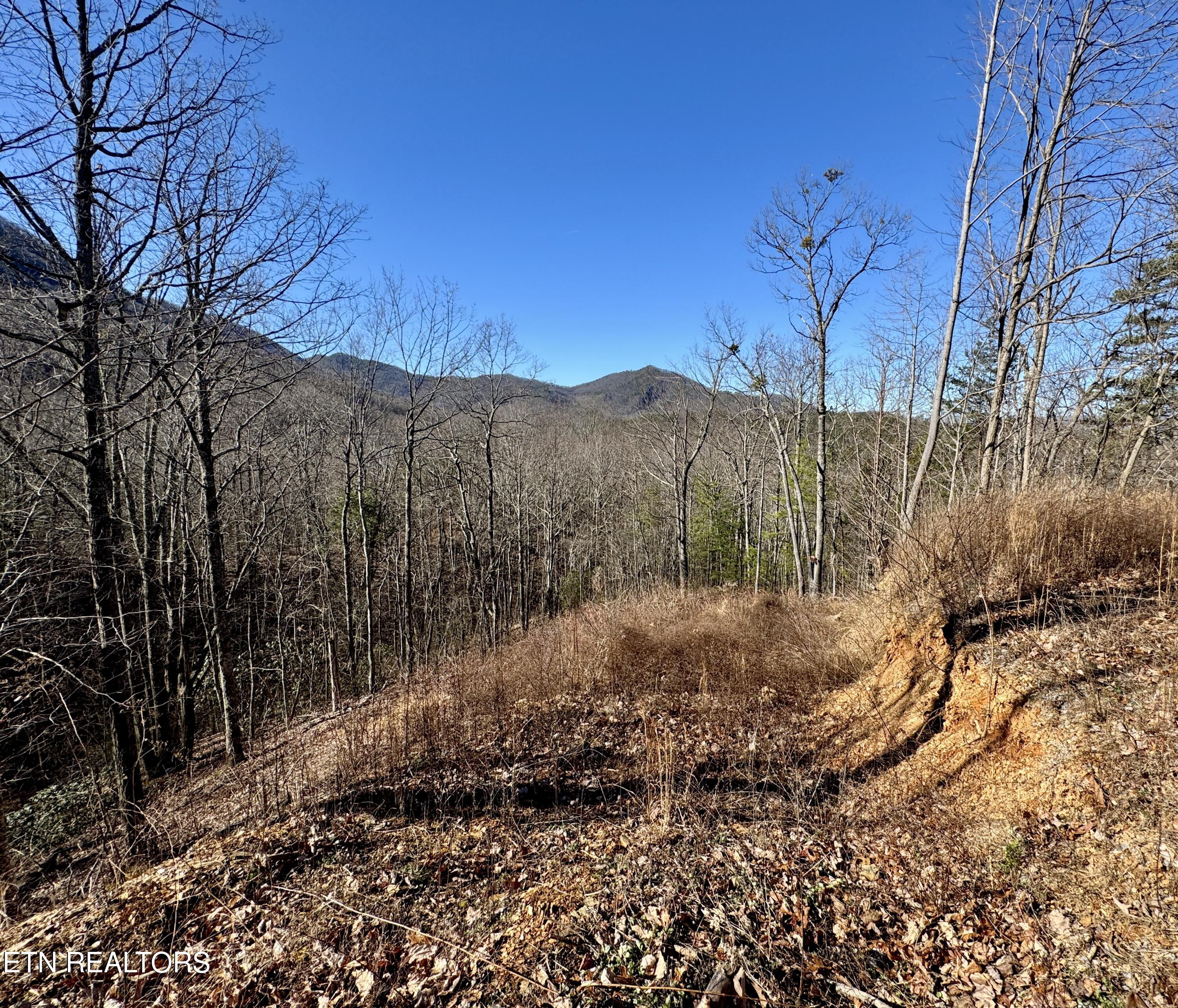 Tr 5 Caney Creek (land Only) Rd Property Photo 8