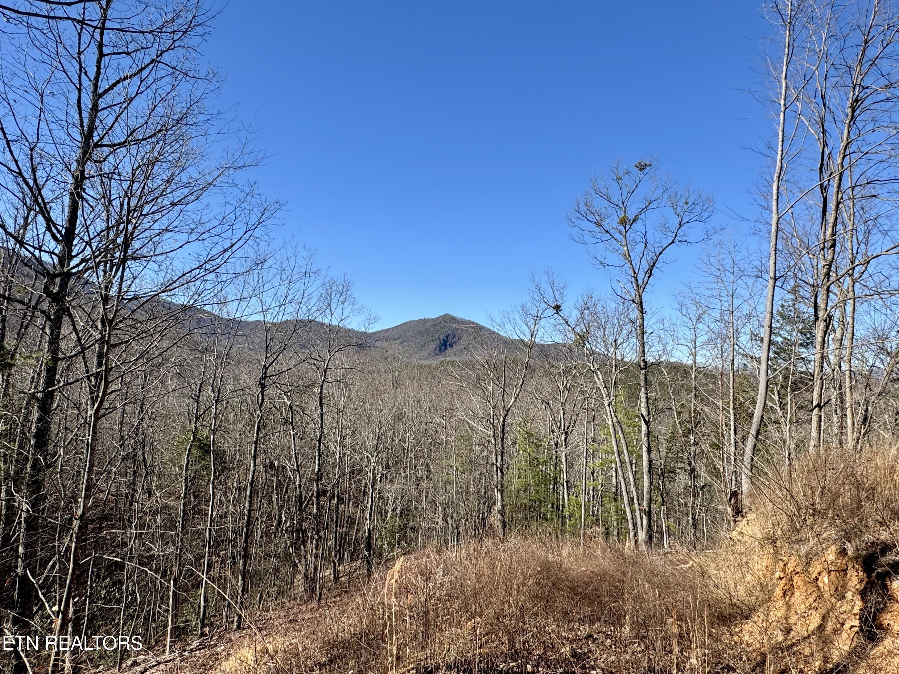 Tr 5 Caney Creek (land Only) Rd Property Photo 9