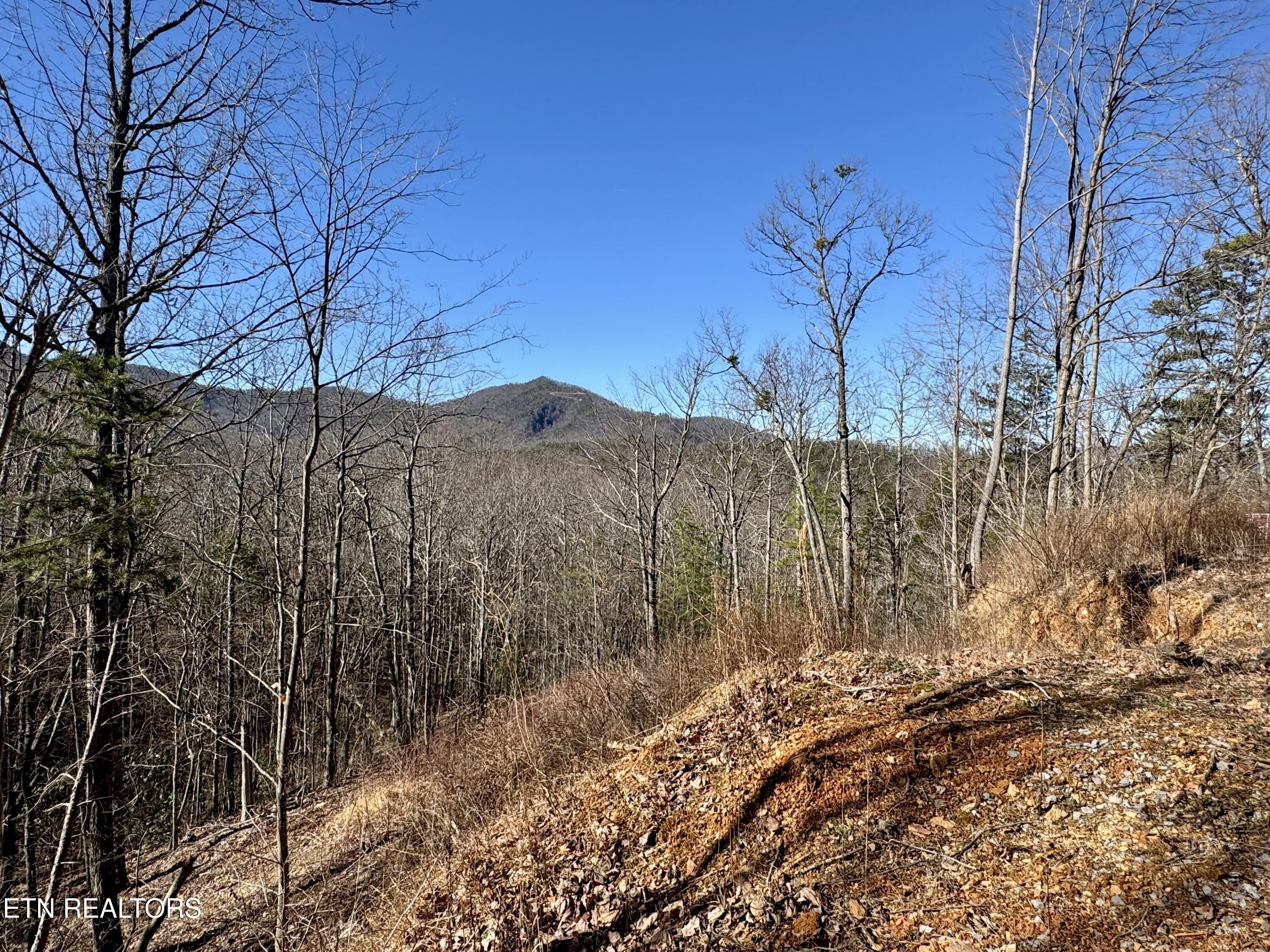Tr 5 Caney Creek (land Only) Rd Property Photo 10