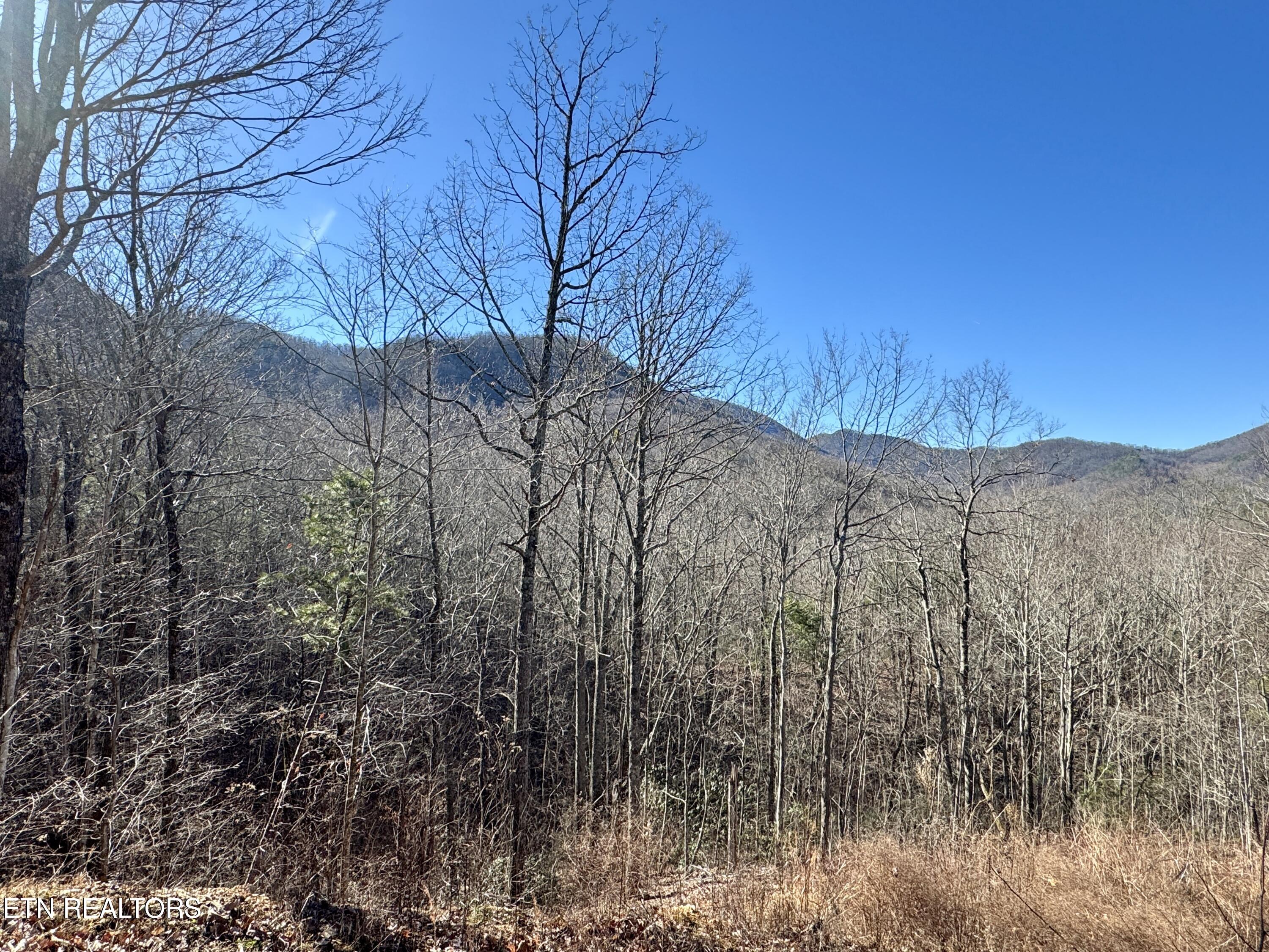Tr 5 Caney Creek (land Only) Rd Property Photo 11