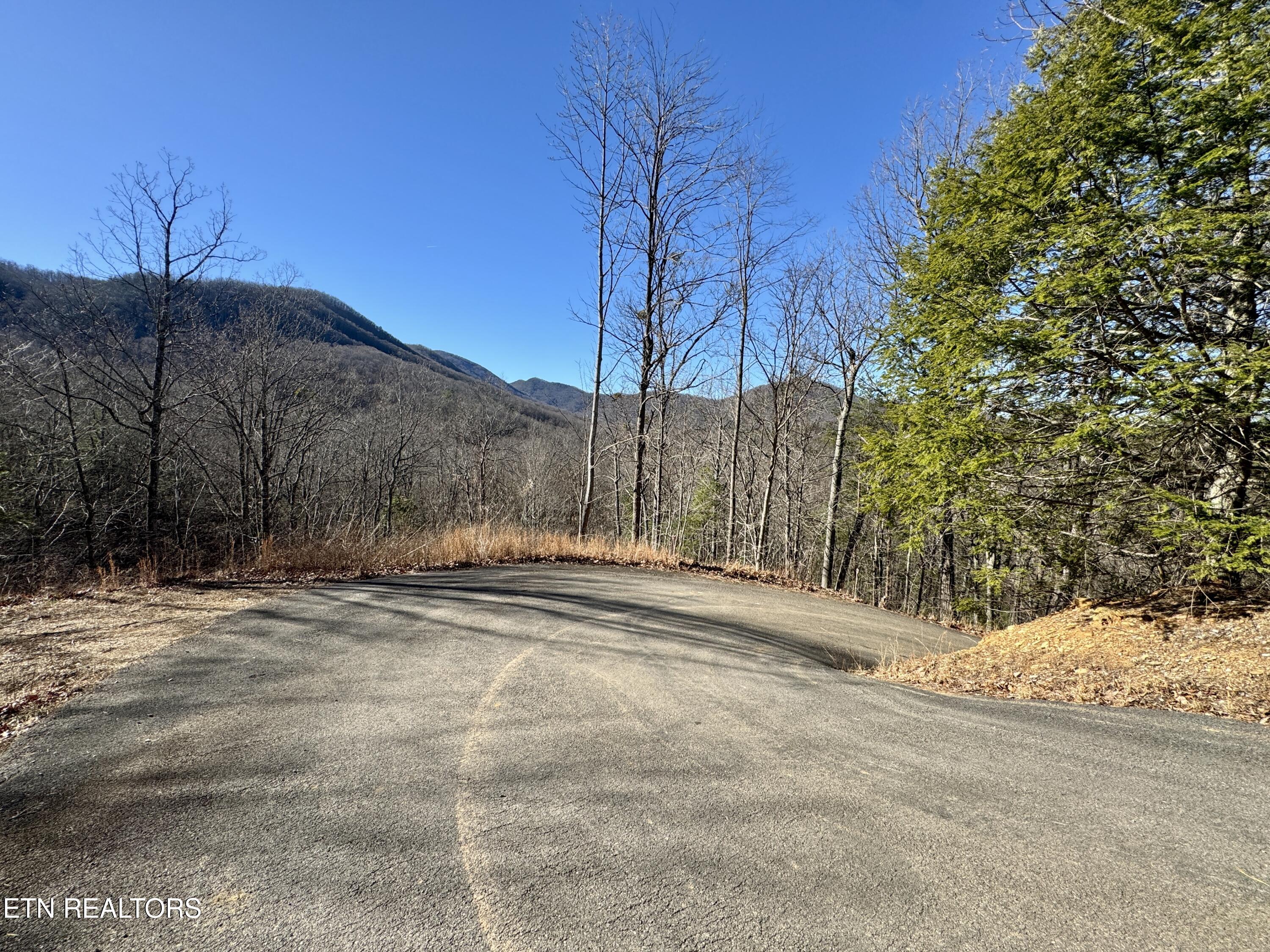 Tr 5 Caney Creek (land Only) Rd Property Photo 12