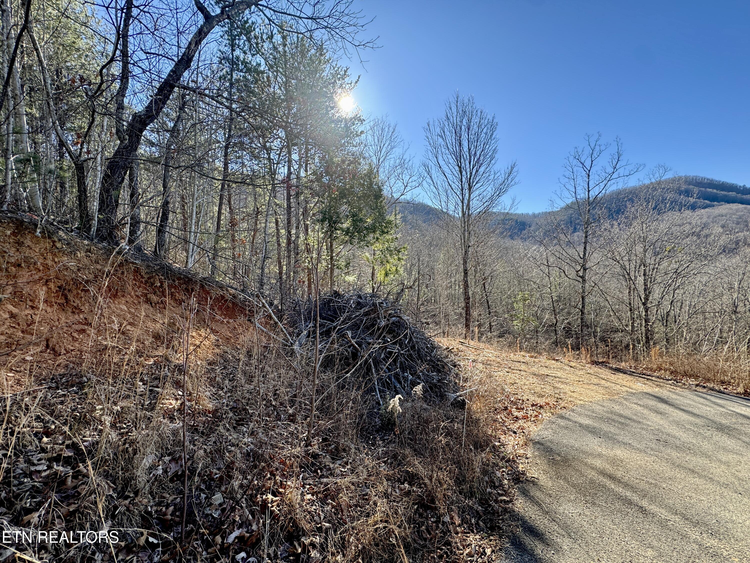 Tr 5 Caney Creek (land Only) Rd Property Photo 13