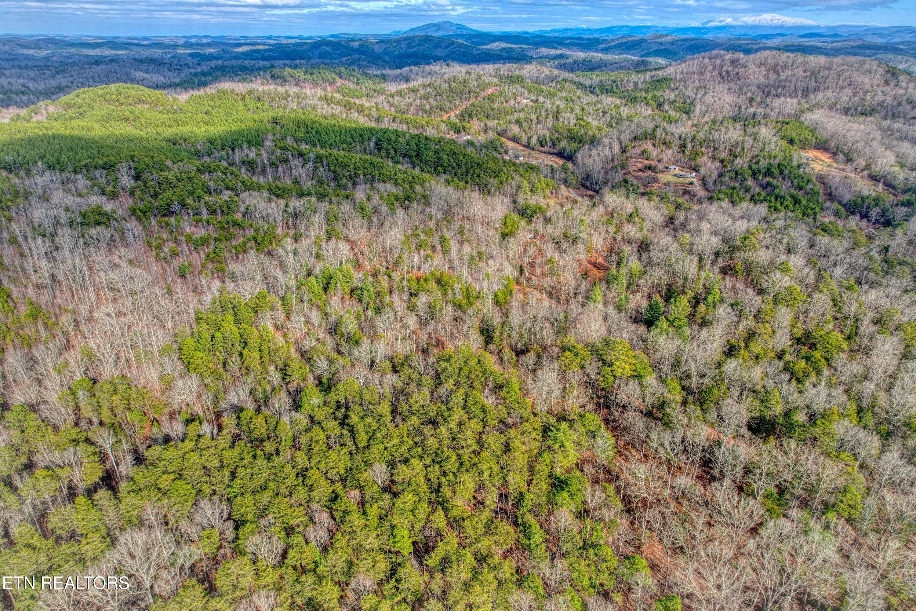 Boiling Springs Rd Property Photo 14