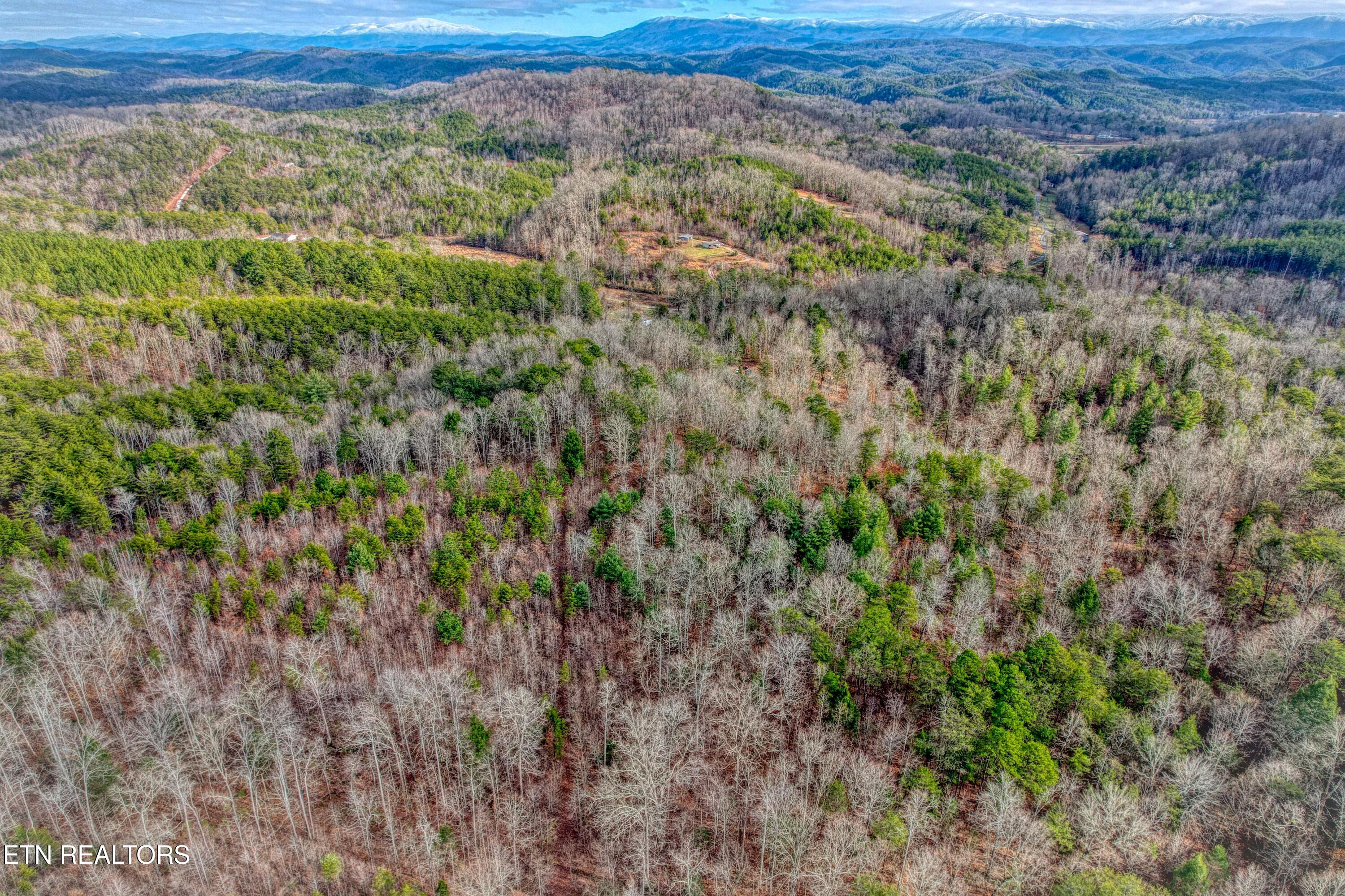Boiling Springs Rd Property Photo 15