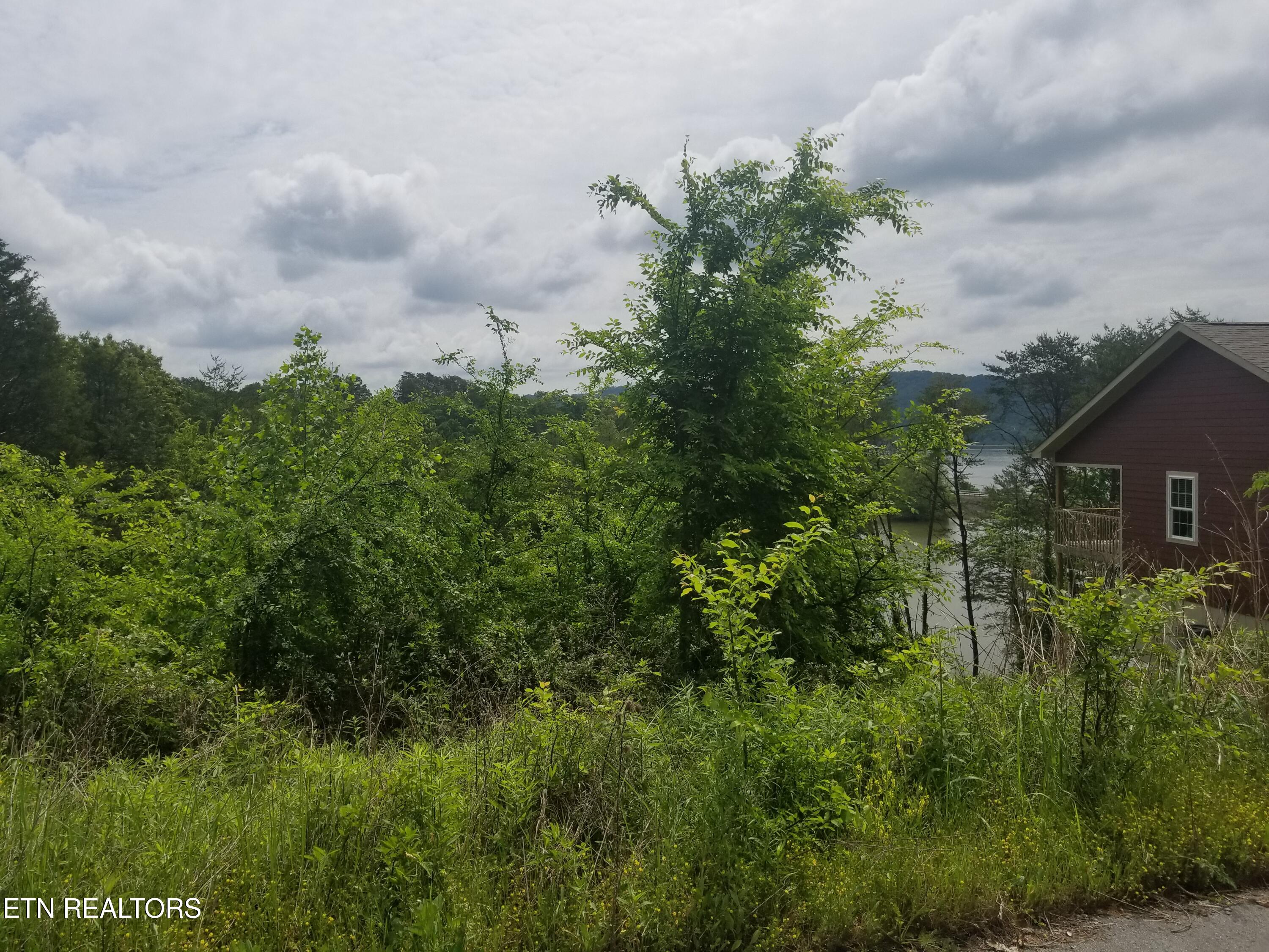 Lot 61 Whispering Court Property Photo 6