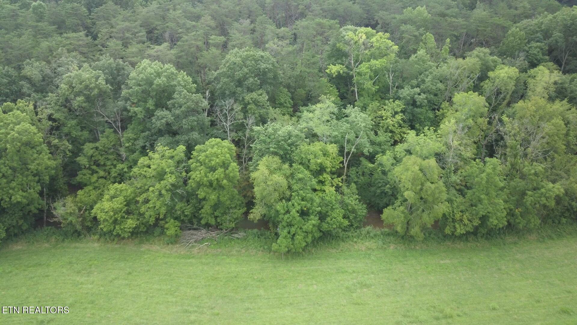 4 Rutledge Lot 4 Pike Property Photo 4