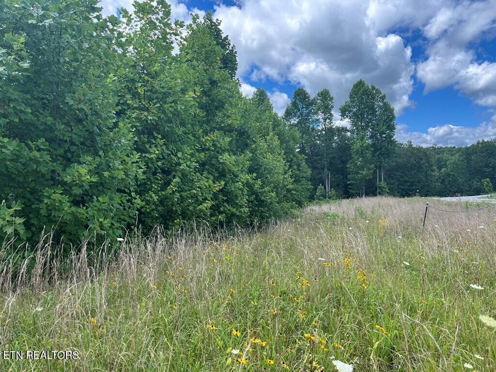 0 Star Drive Property Photo 6