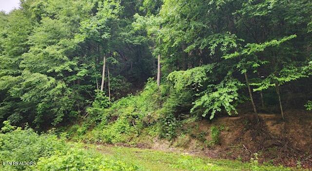 4473 Chavis Rd Property Photo 2