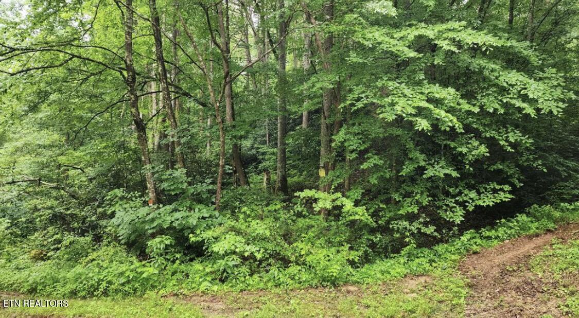 4473 Chavis Rd Property Photo 3