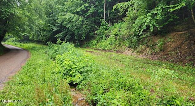 4473 Chavis Rd Property Photo 5