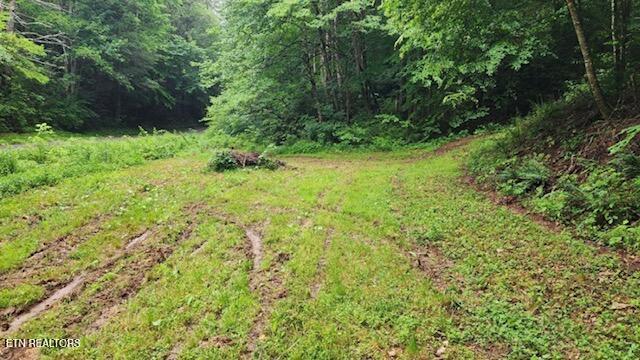 4473 Chavis Rd Property Photo 10