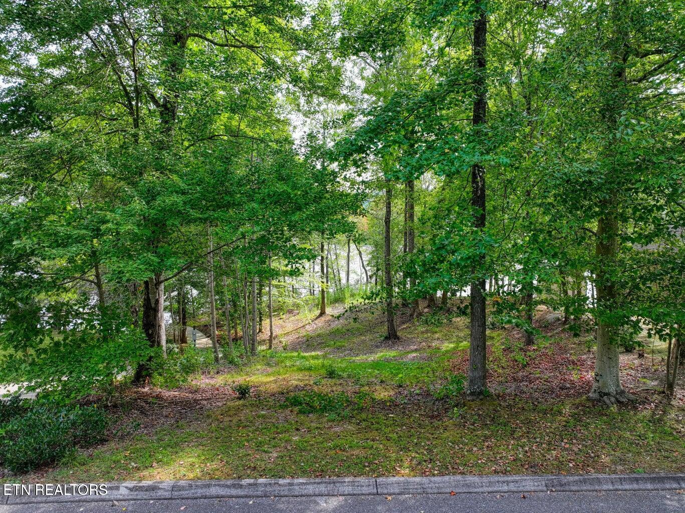 117 Osprey Way Property Photo 2