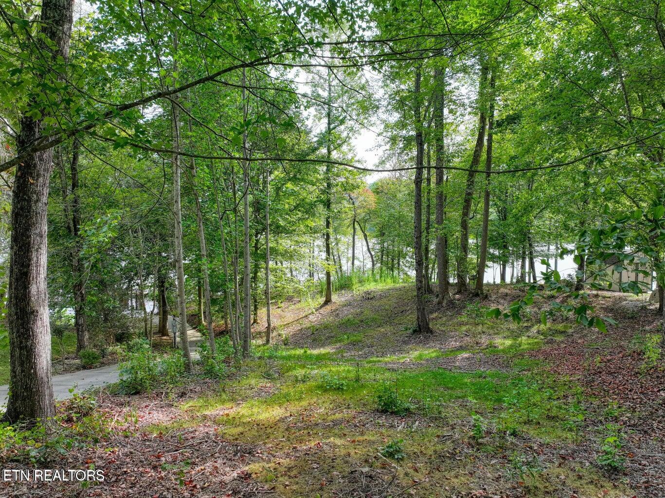 117 Osprey Way Property Photo 3