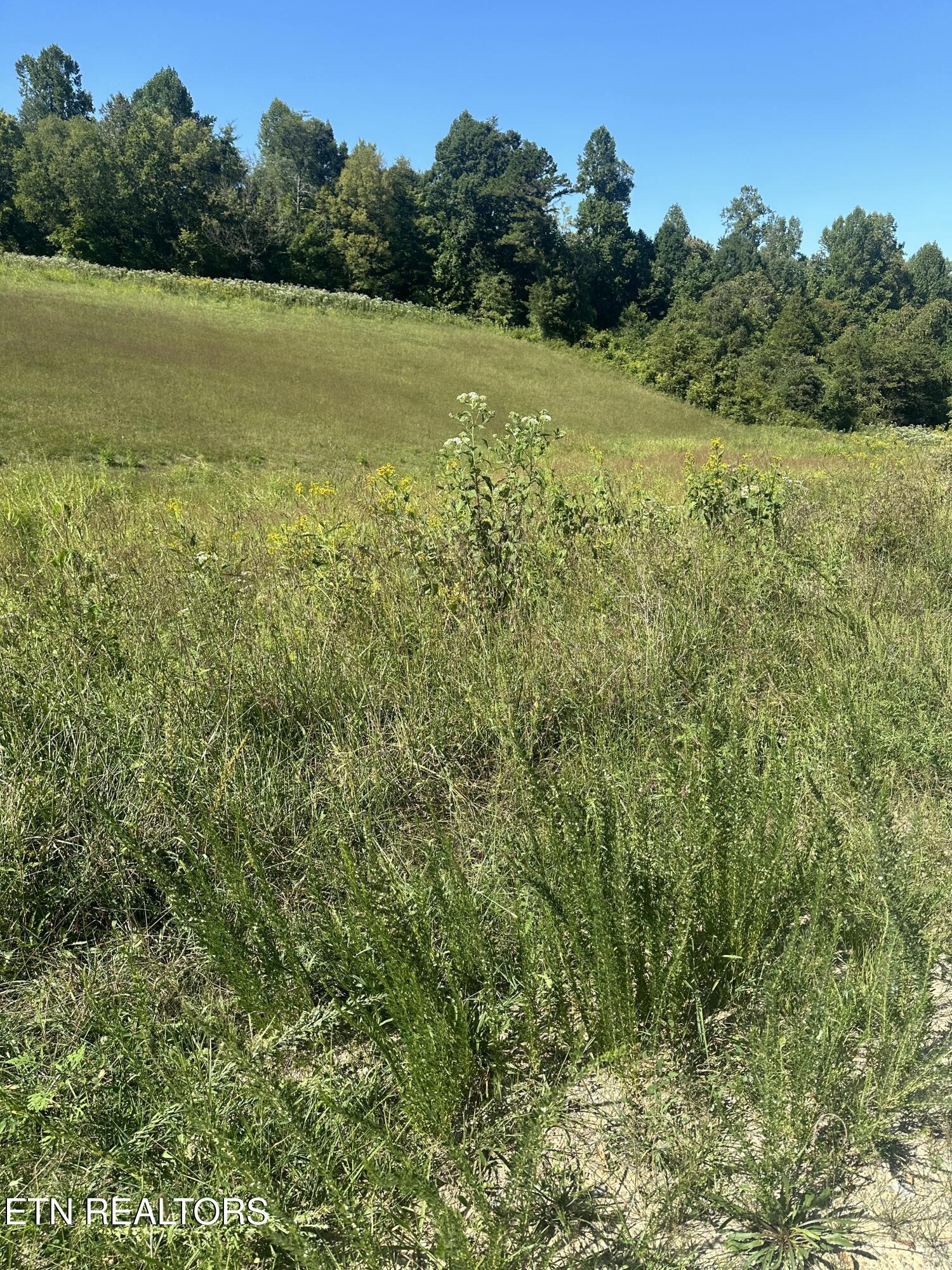 Bob Wright Bob Wright Rd Property Photo 7