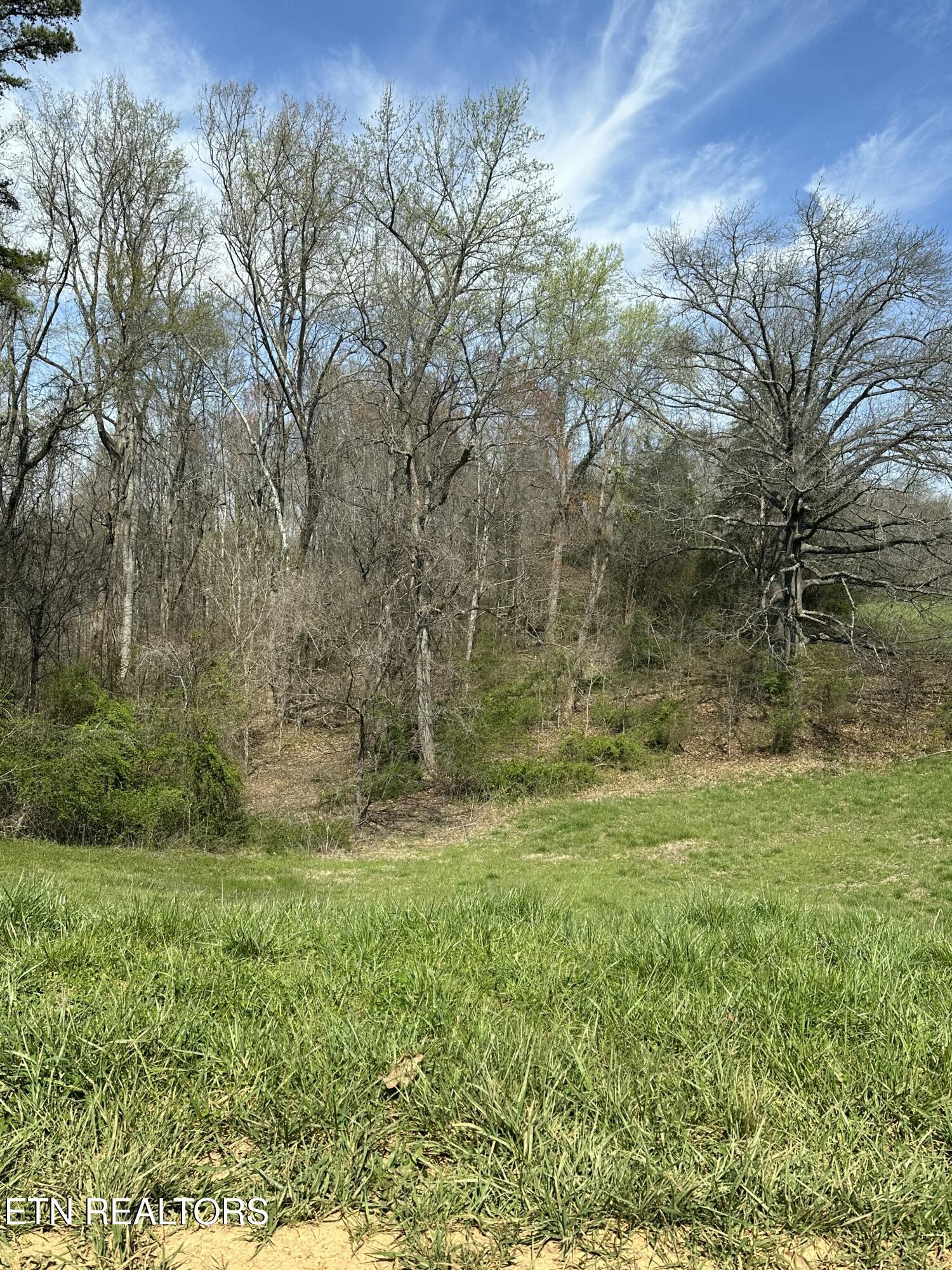 Bob Wright Bob Wright Rd Property Photo 11