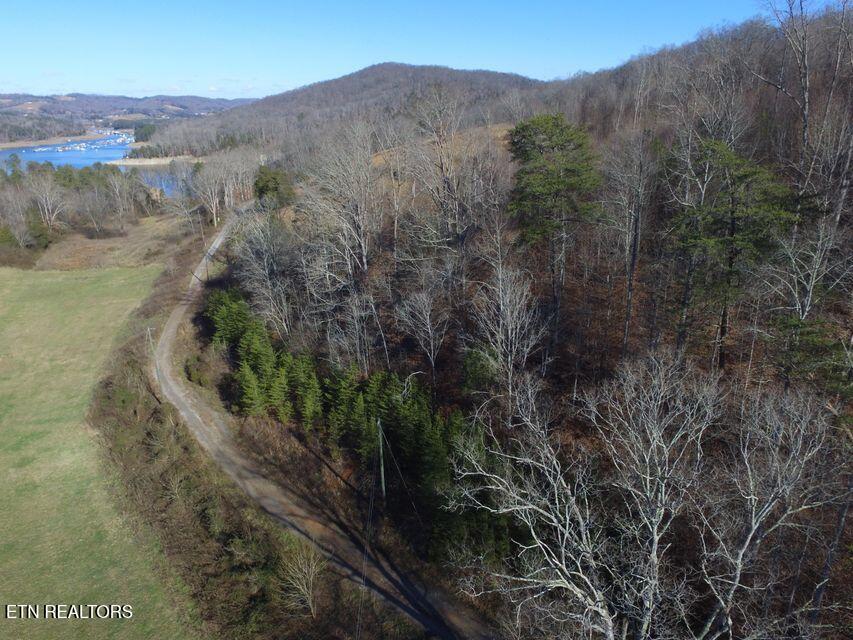 Bob Wright Bob Wright Rd Property Photo 13
