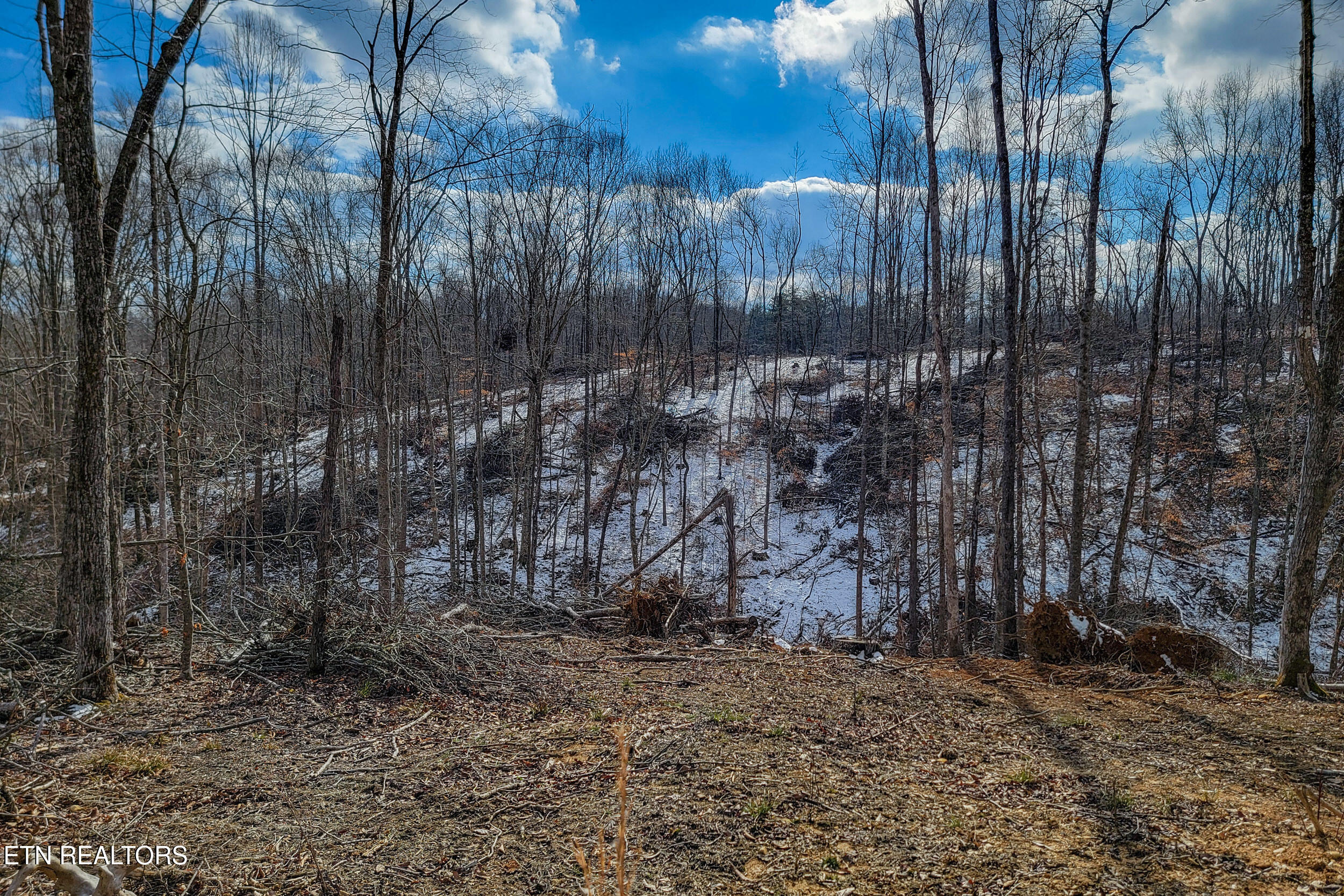 5.33 Ac Hutchins Bend Rd Property Photo 4