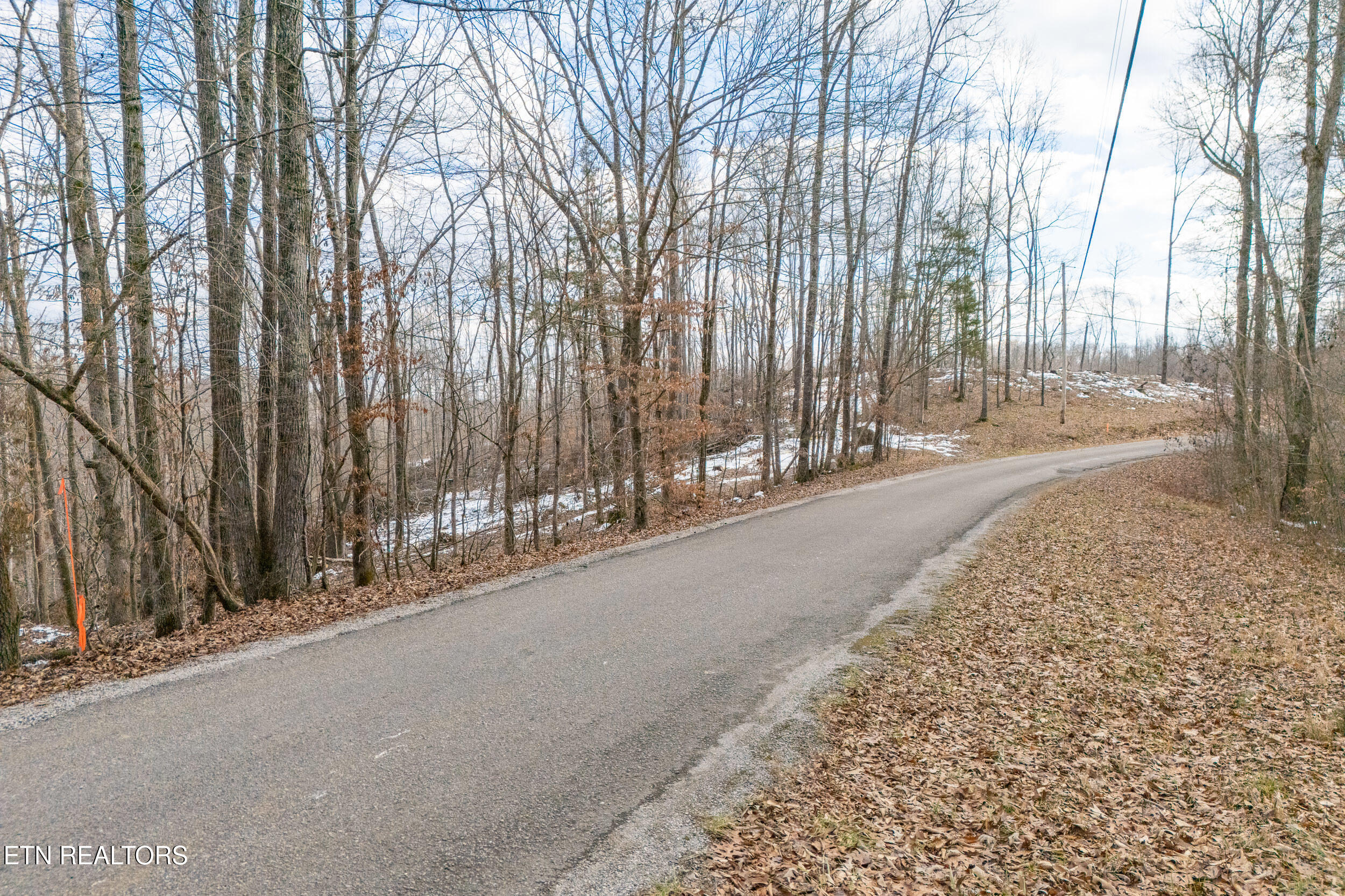 5.33 Ac Hutchins Bend Rd Property Photo 5