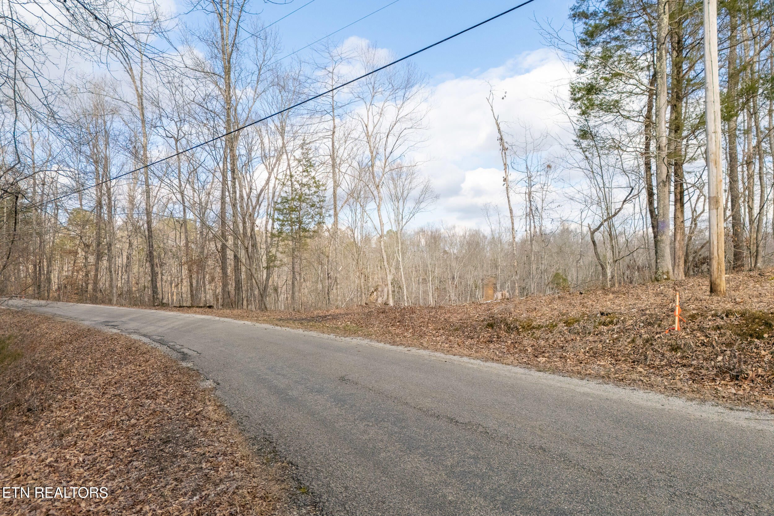 5.33 Ac Hutchins Bend Rd Property Photo 6
