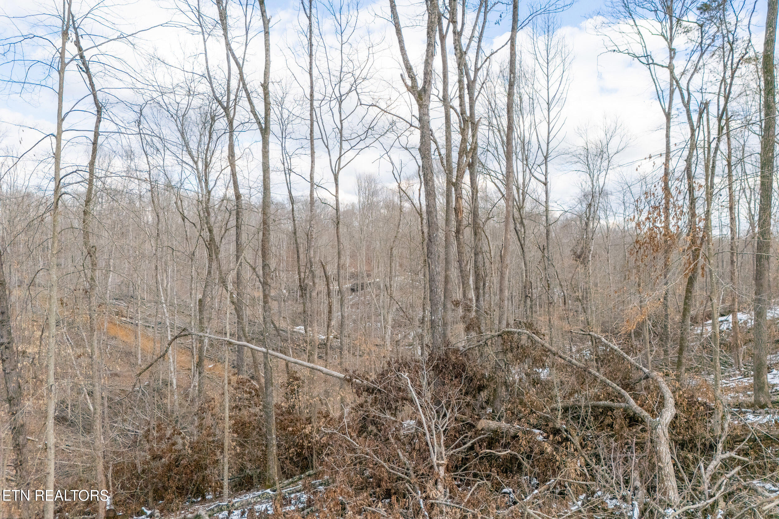 5.33 Ac Hutchins Bend Rd Property Photo 8