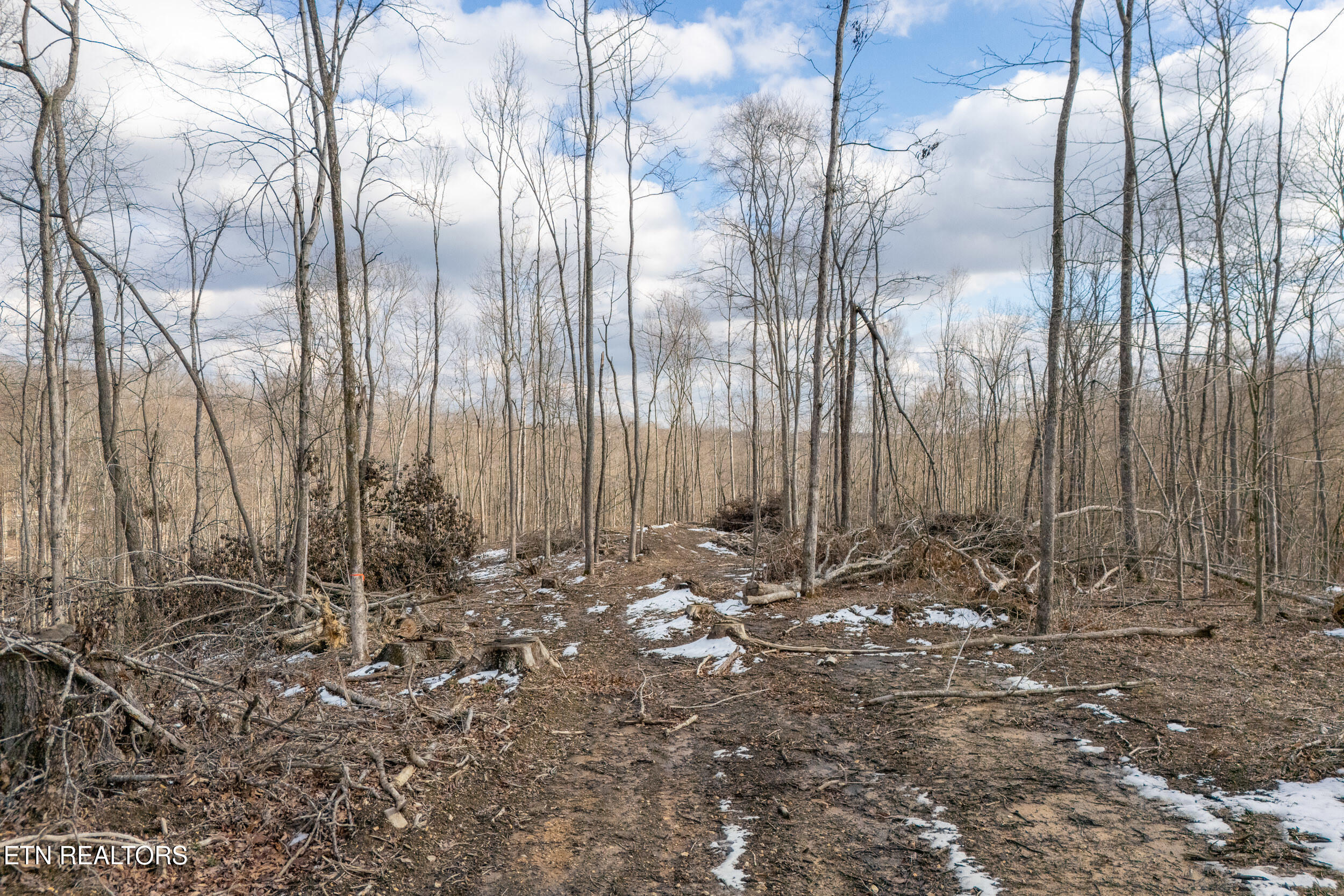 5.35 Acres Hutchins Bend Rd Property Photo 2