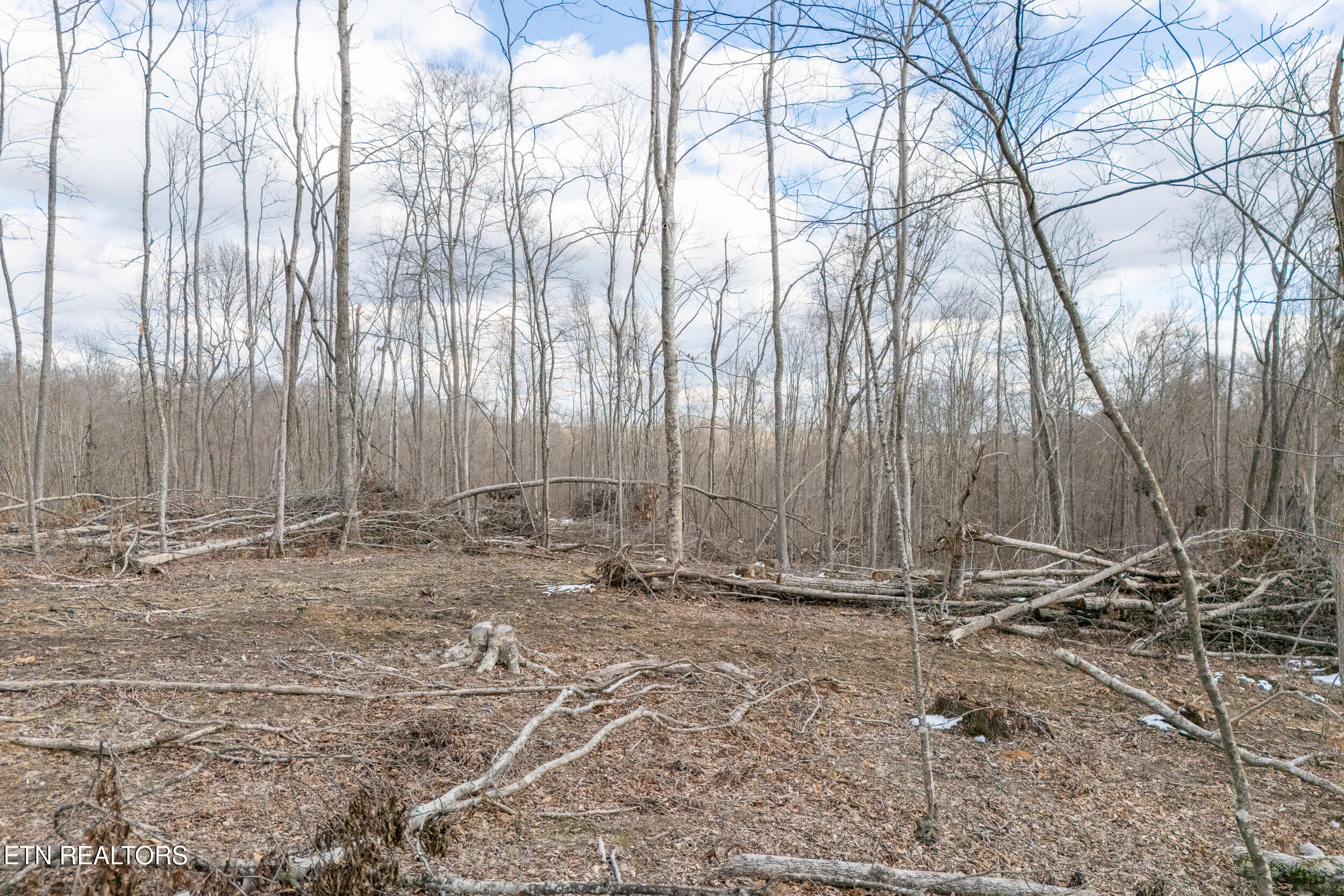 5.35 Acres Hutchins Bend Rd Property Photo 3