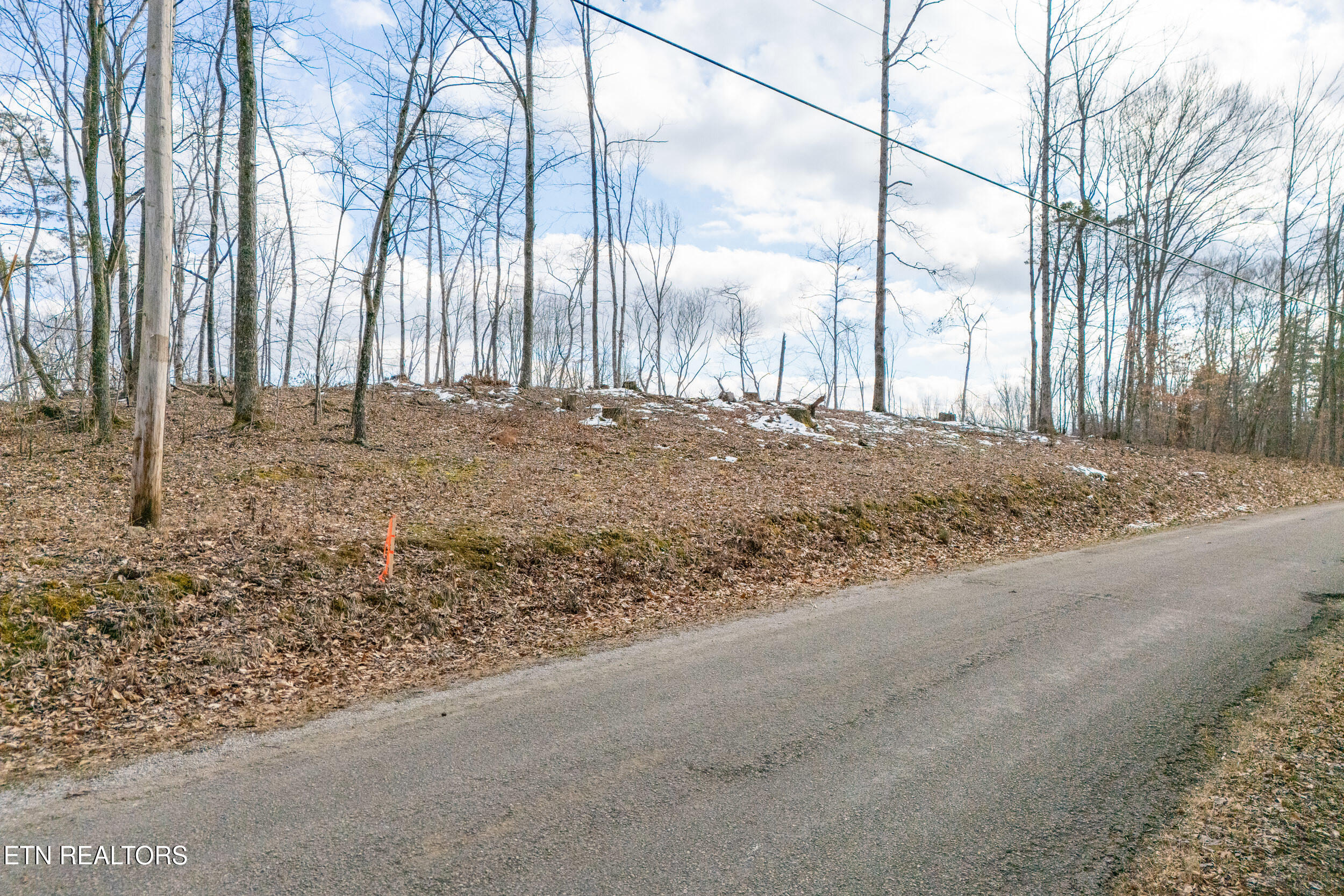 5.35 Acres Hutchins Bend Rd Property Photo 4