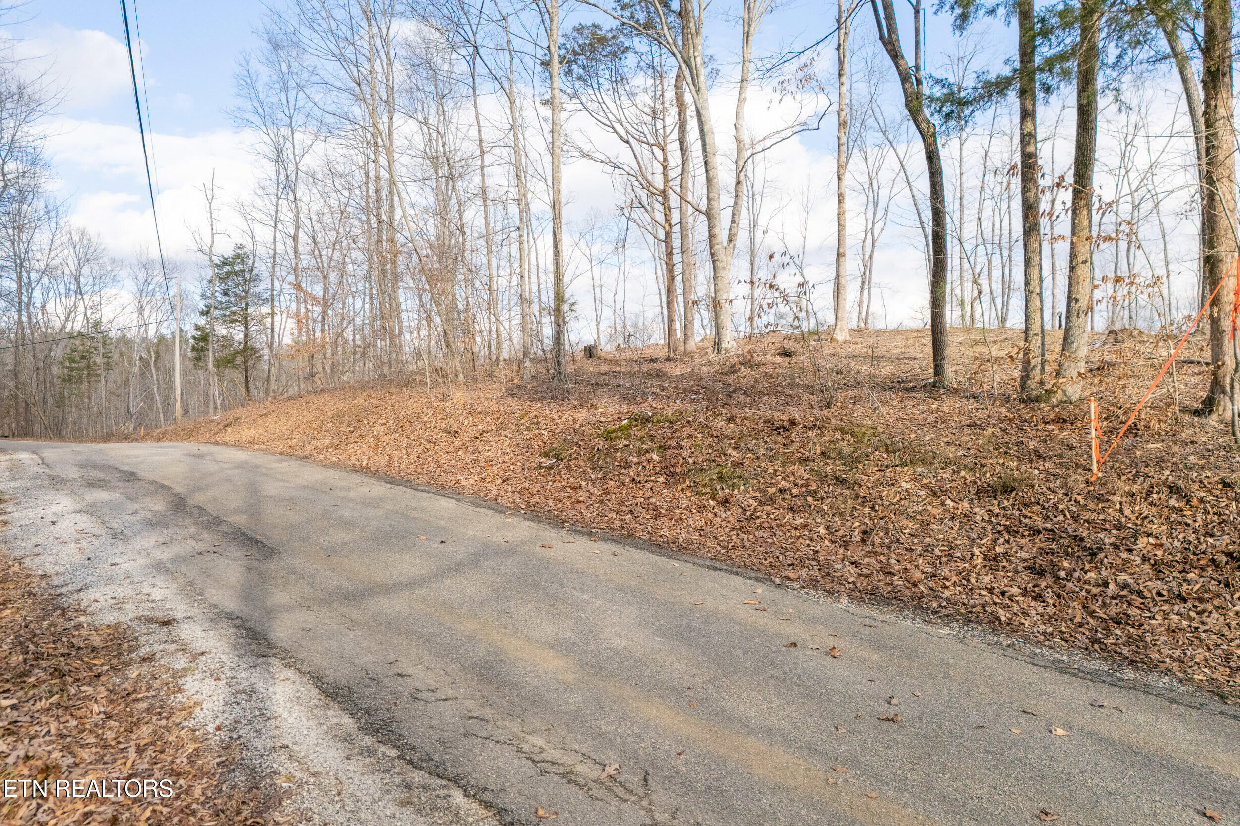 5.35 Acres Hutchins Bend Rd Property Photo 5