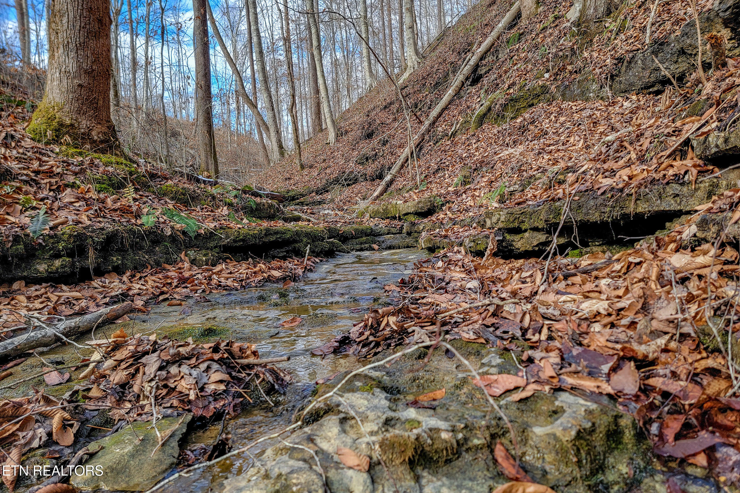 6.24 Acres Hutchings Bend Rd Property Photo