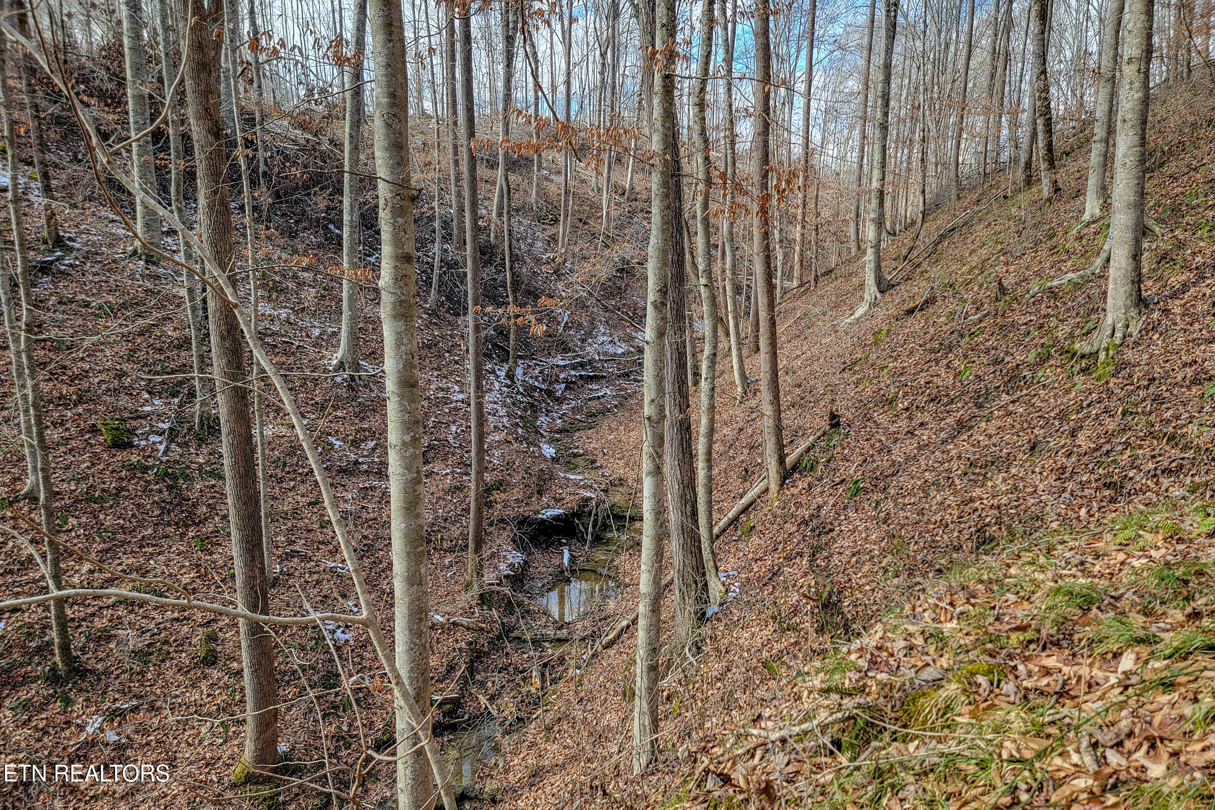6.24 Acres Hutchins Bend Rd Property Photo 3