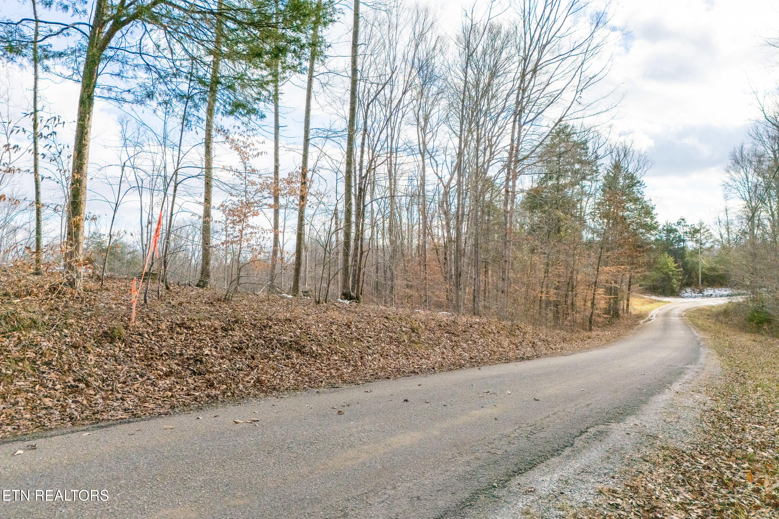 6.24 Acres Hutchins Bend Rd Property Photo 4