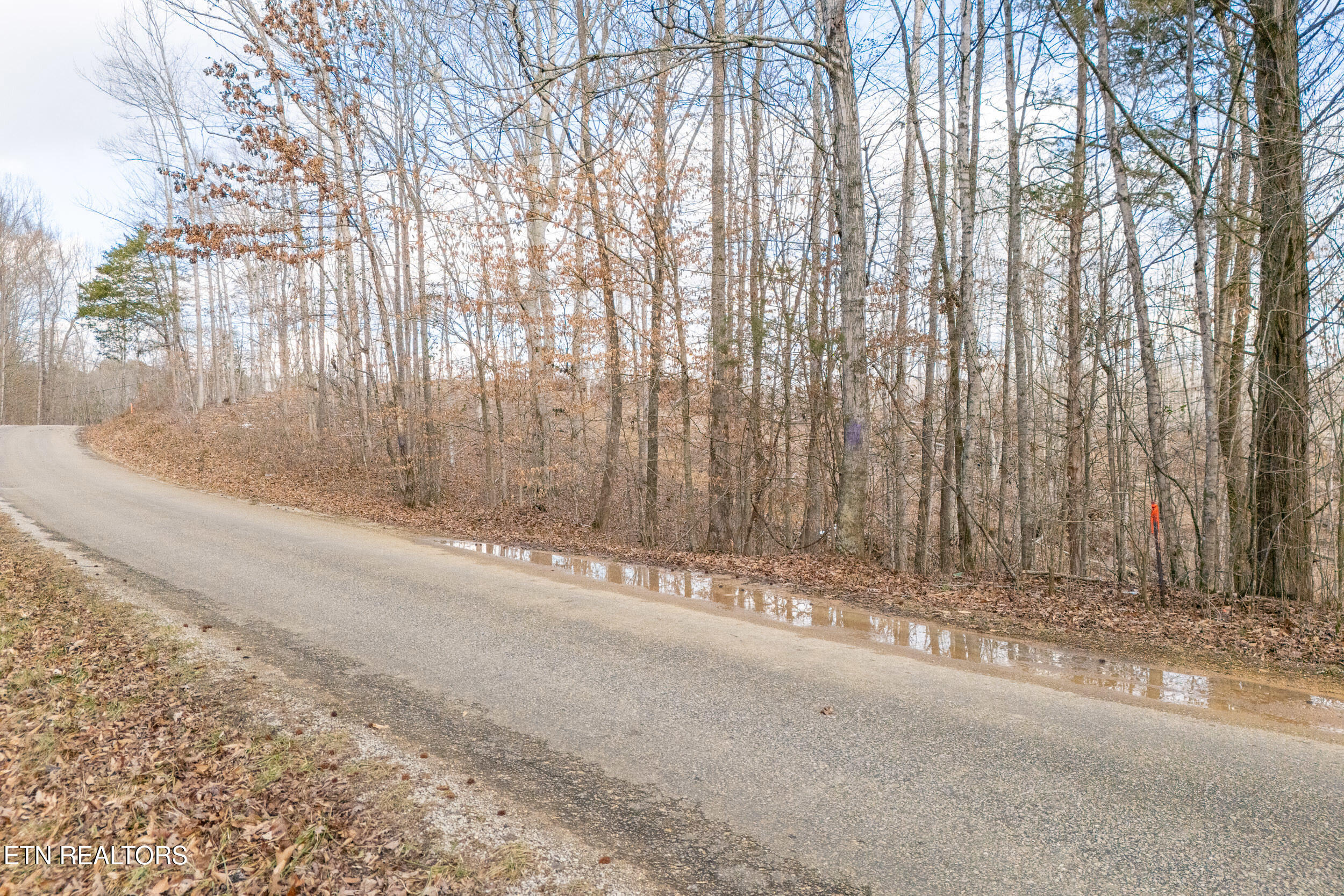 6.24 Acres Hutchins Bend Rd Property Photo 5